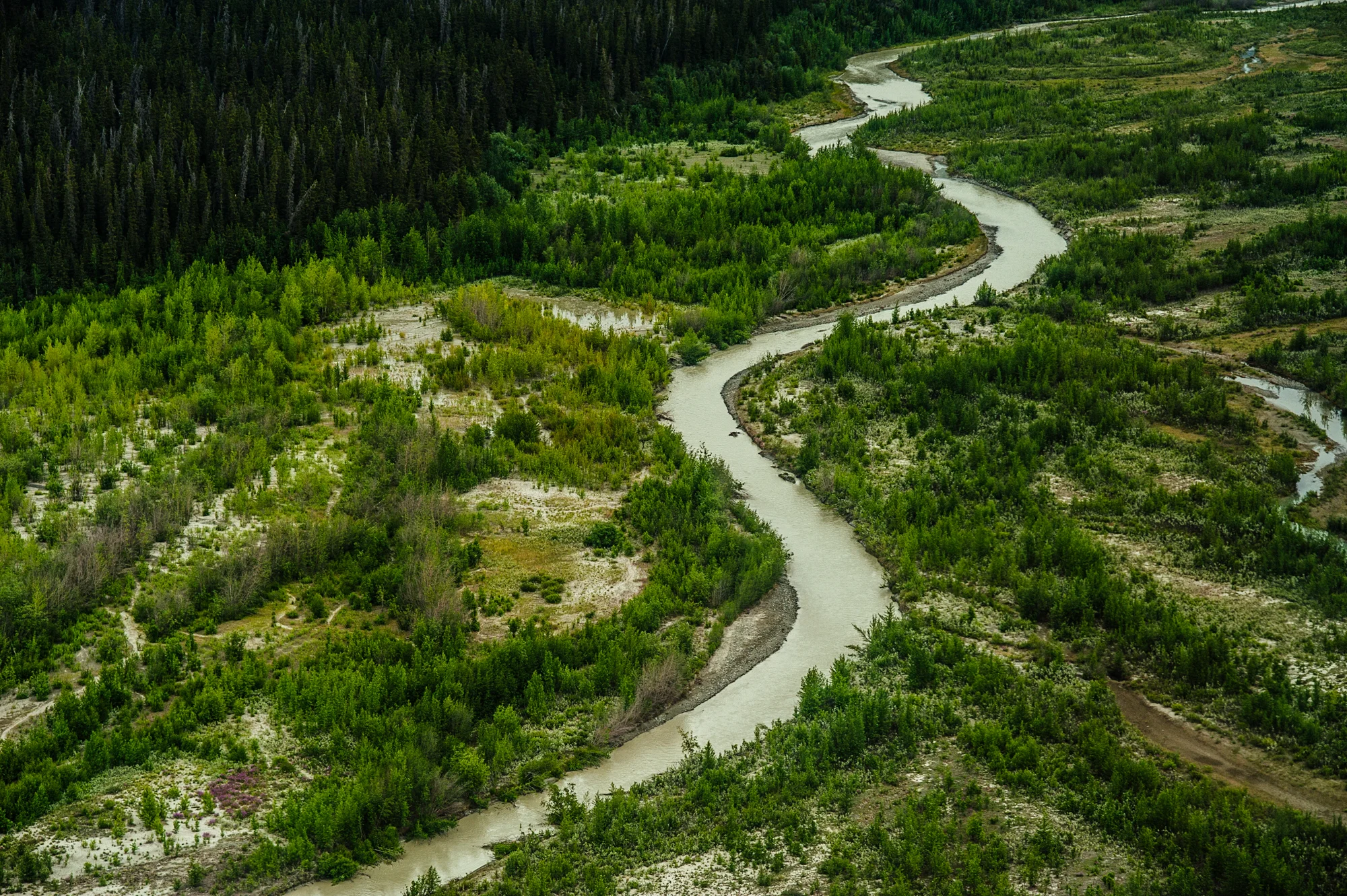 20120629-_DSC6363.jpg