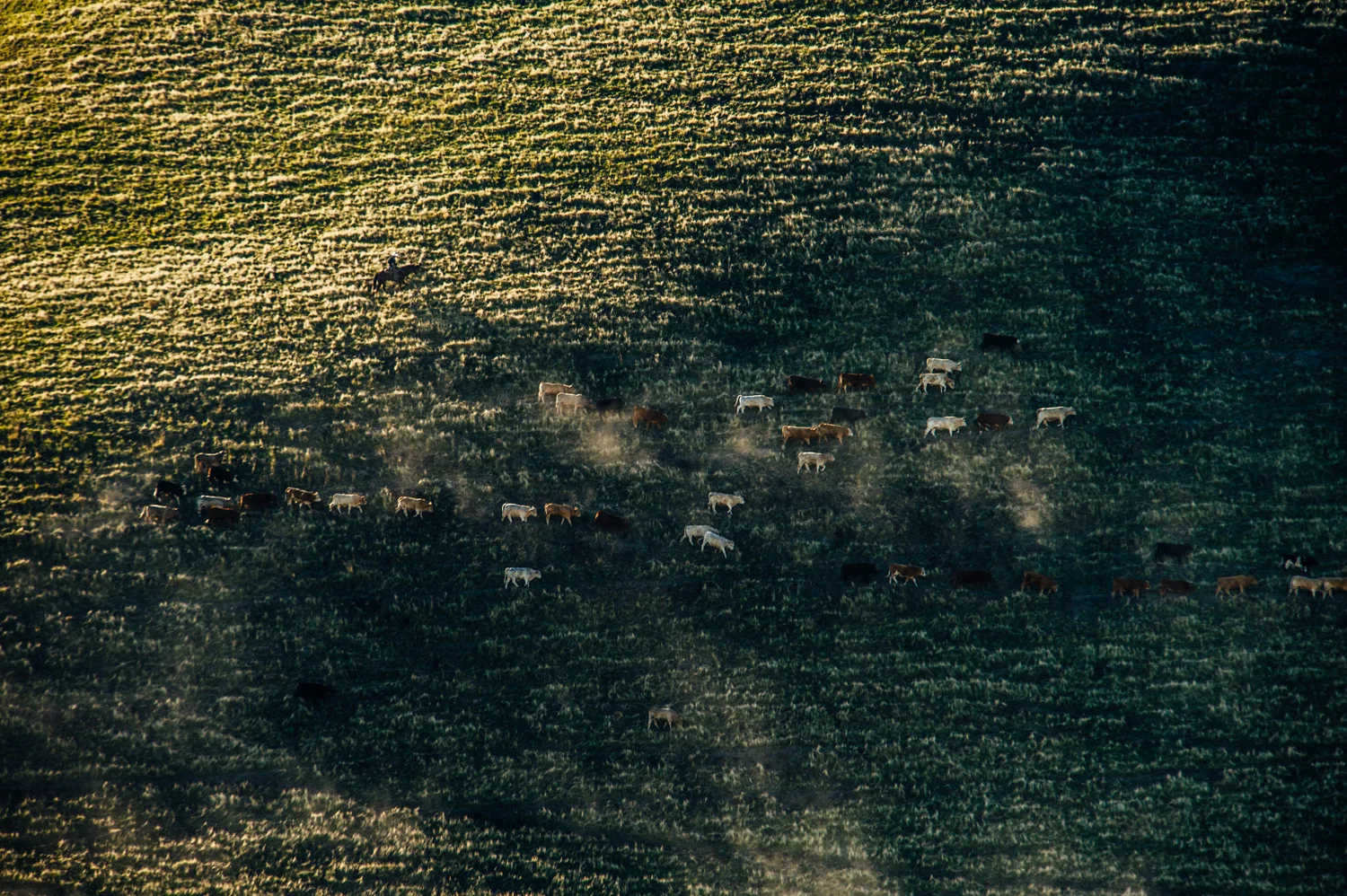ranchland_2019-3597.jpg