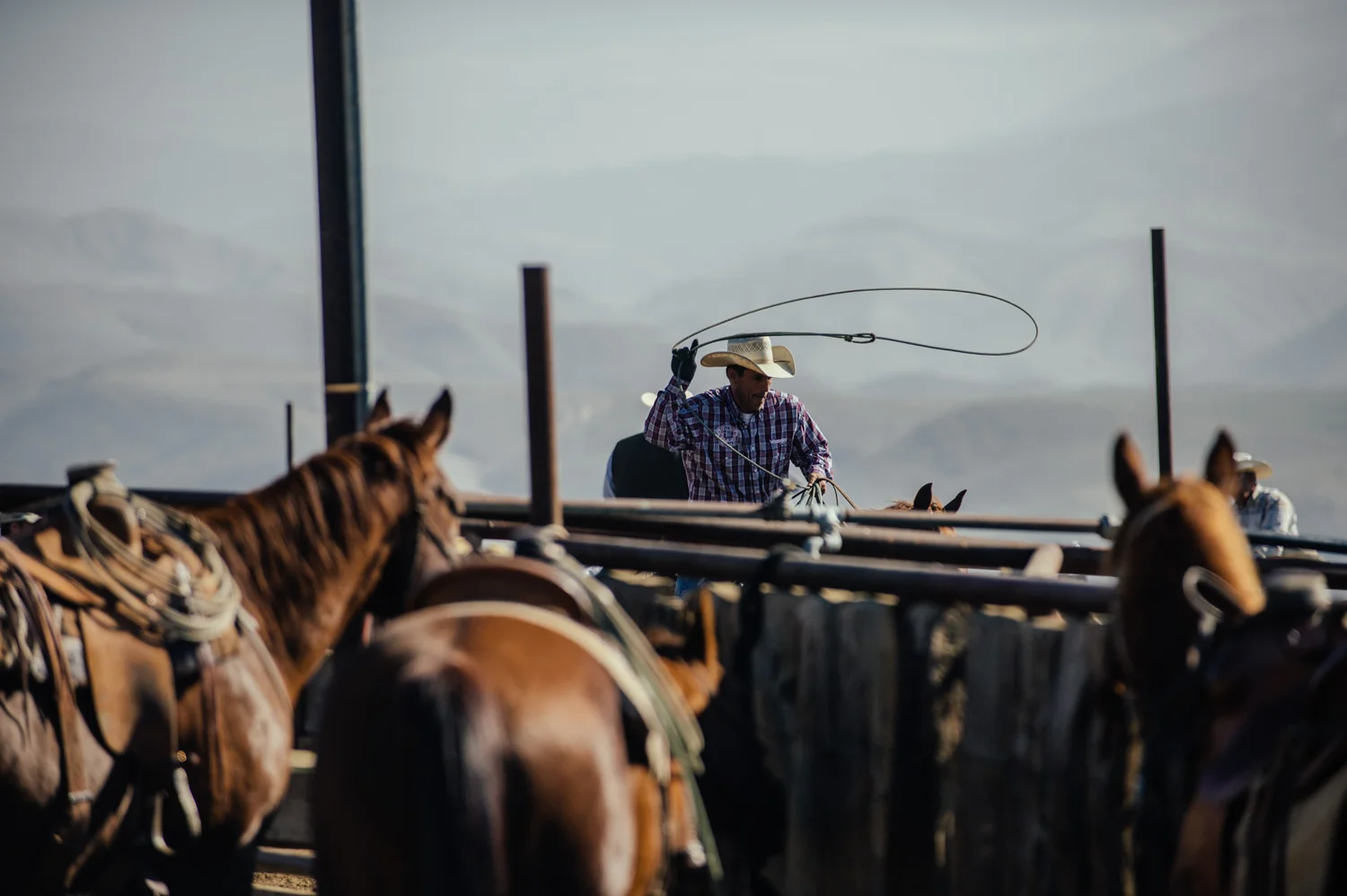 ranchland_2019-9671.jpg