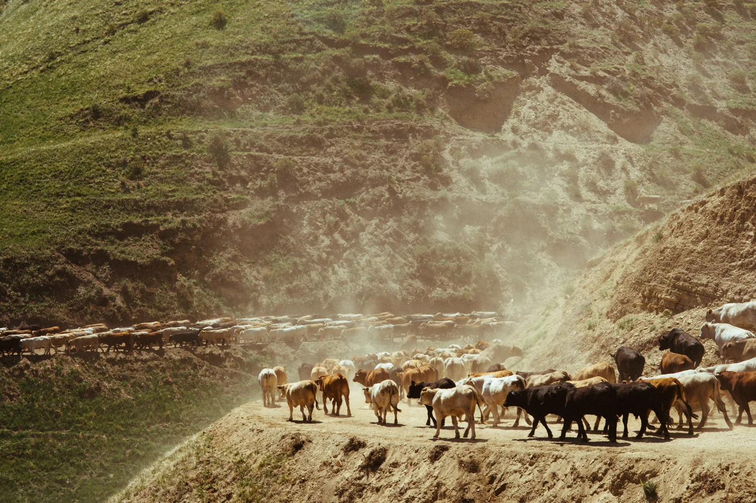 rancheland_2019-3885.jpg