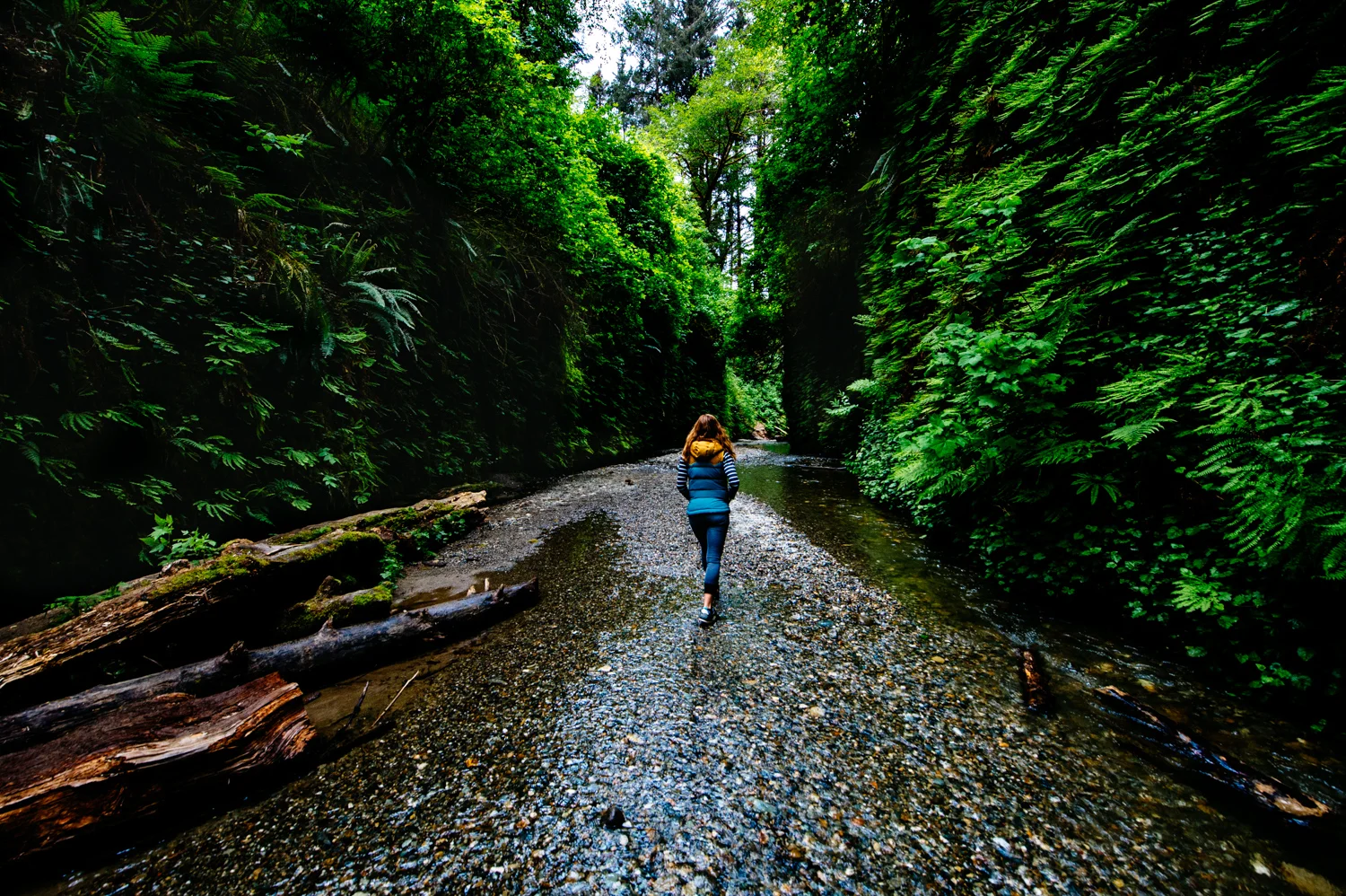 20190504-DSC_0714.jpg
