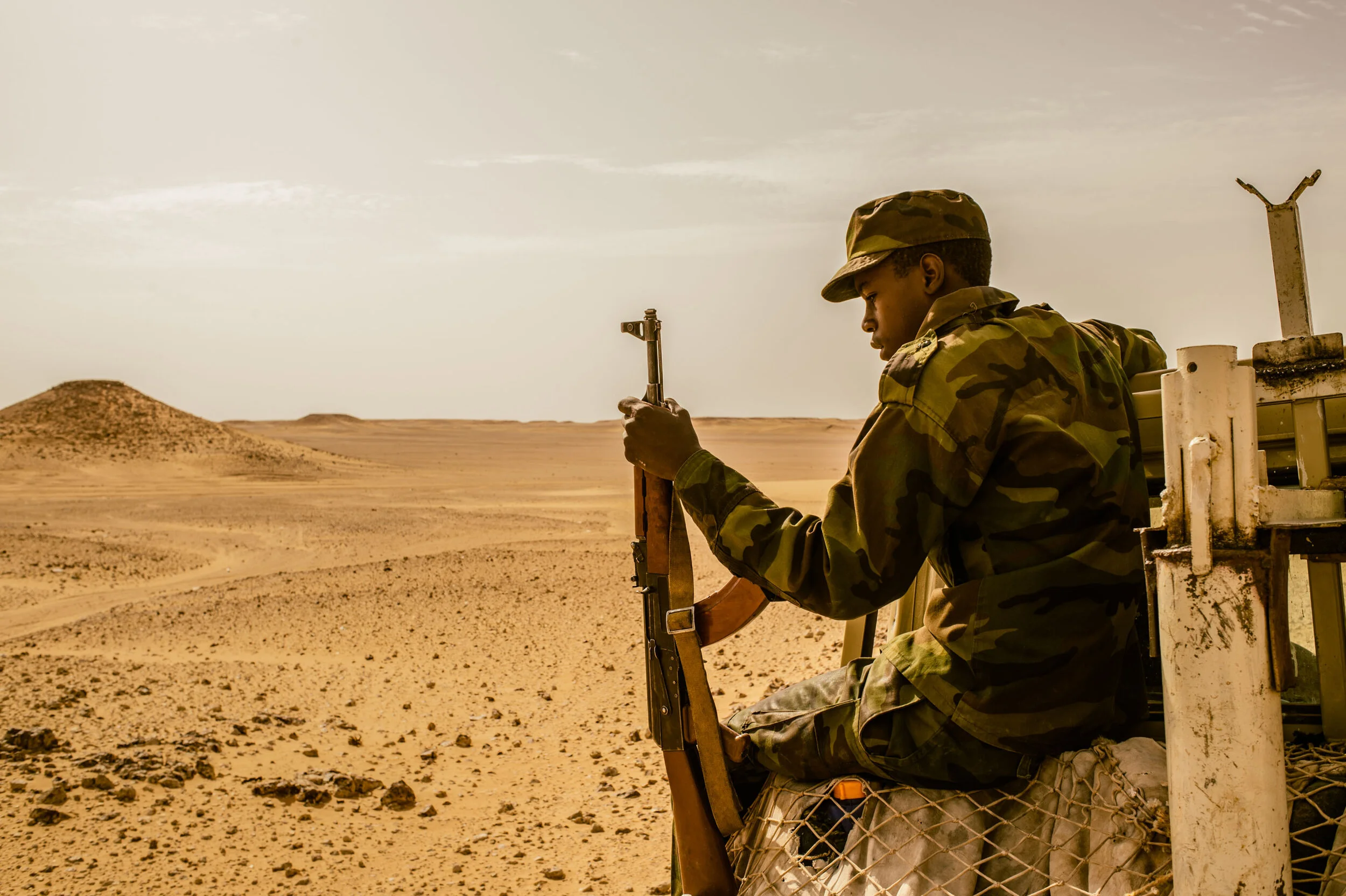 20130916-edited in field-2167.jpg