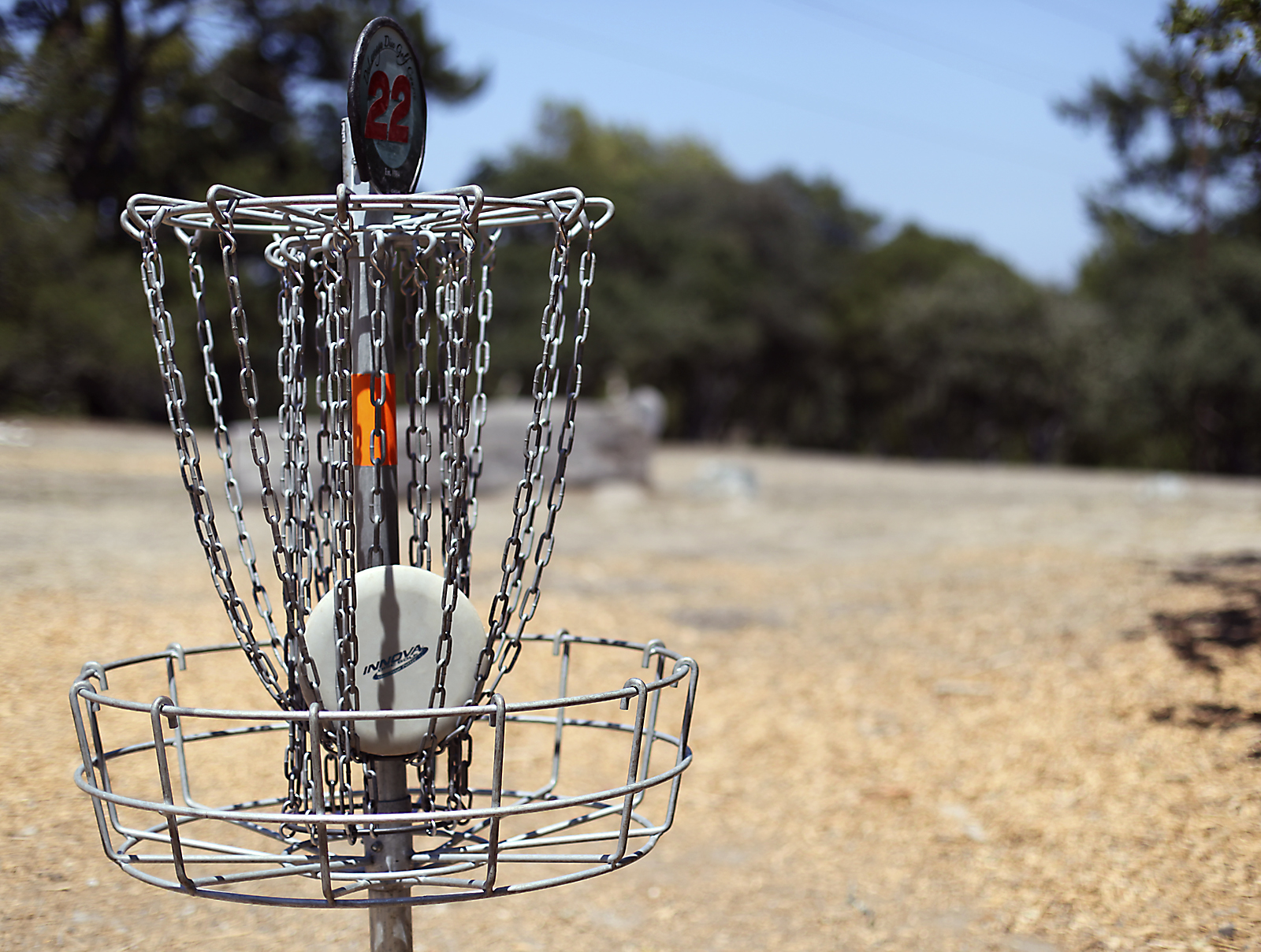 sscs0730discgolf14.jpg