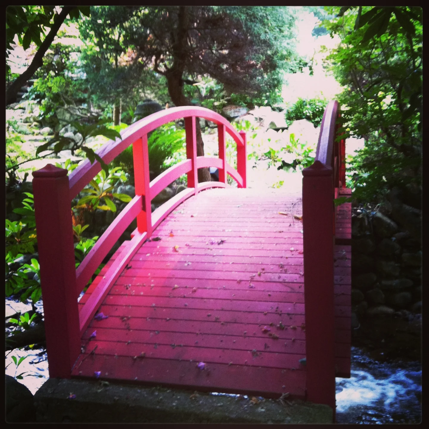 bridge.jpg