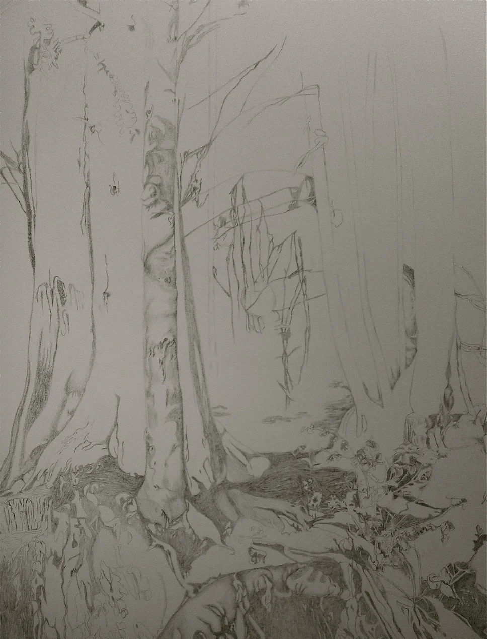 tree-sketch.jpg
