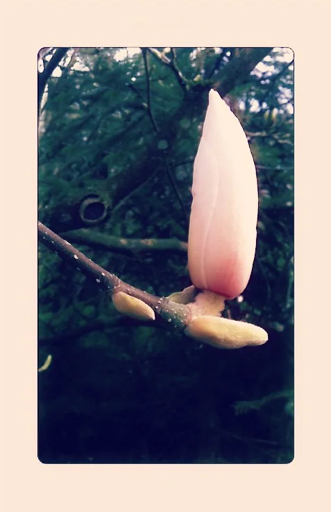 The more creative I am...