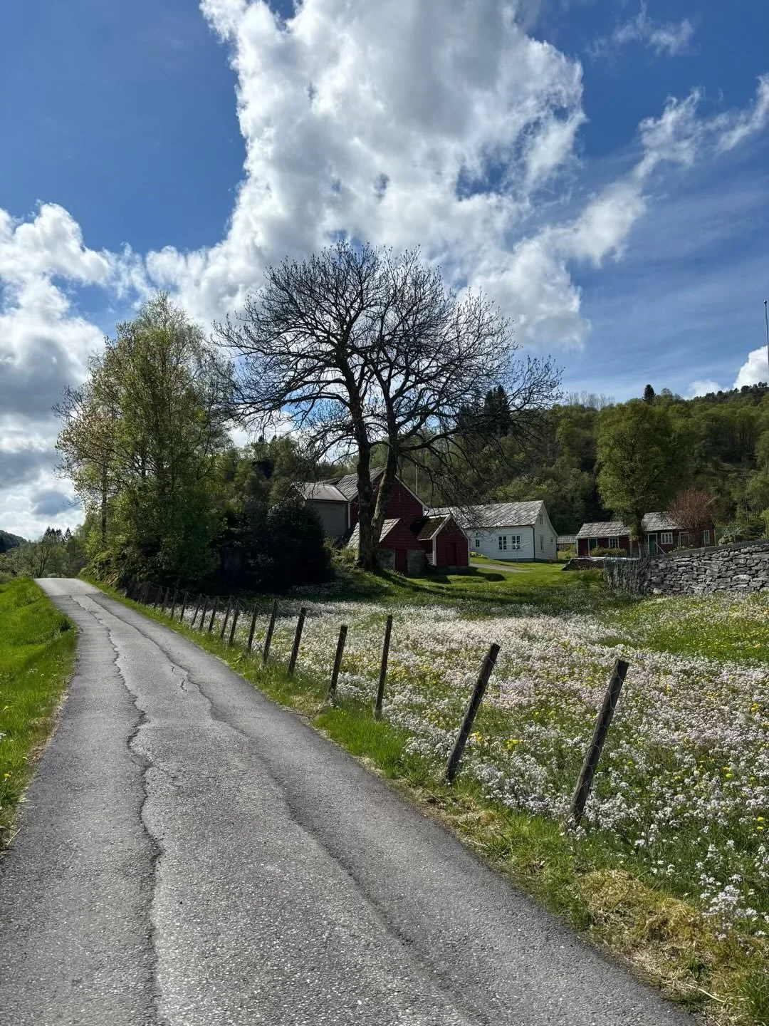 A little walk in paradise&hellip; #tysnes #norway #norwaytravel #nature