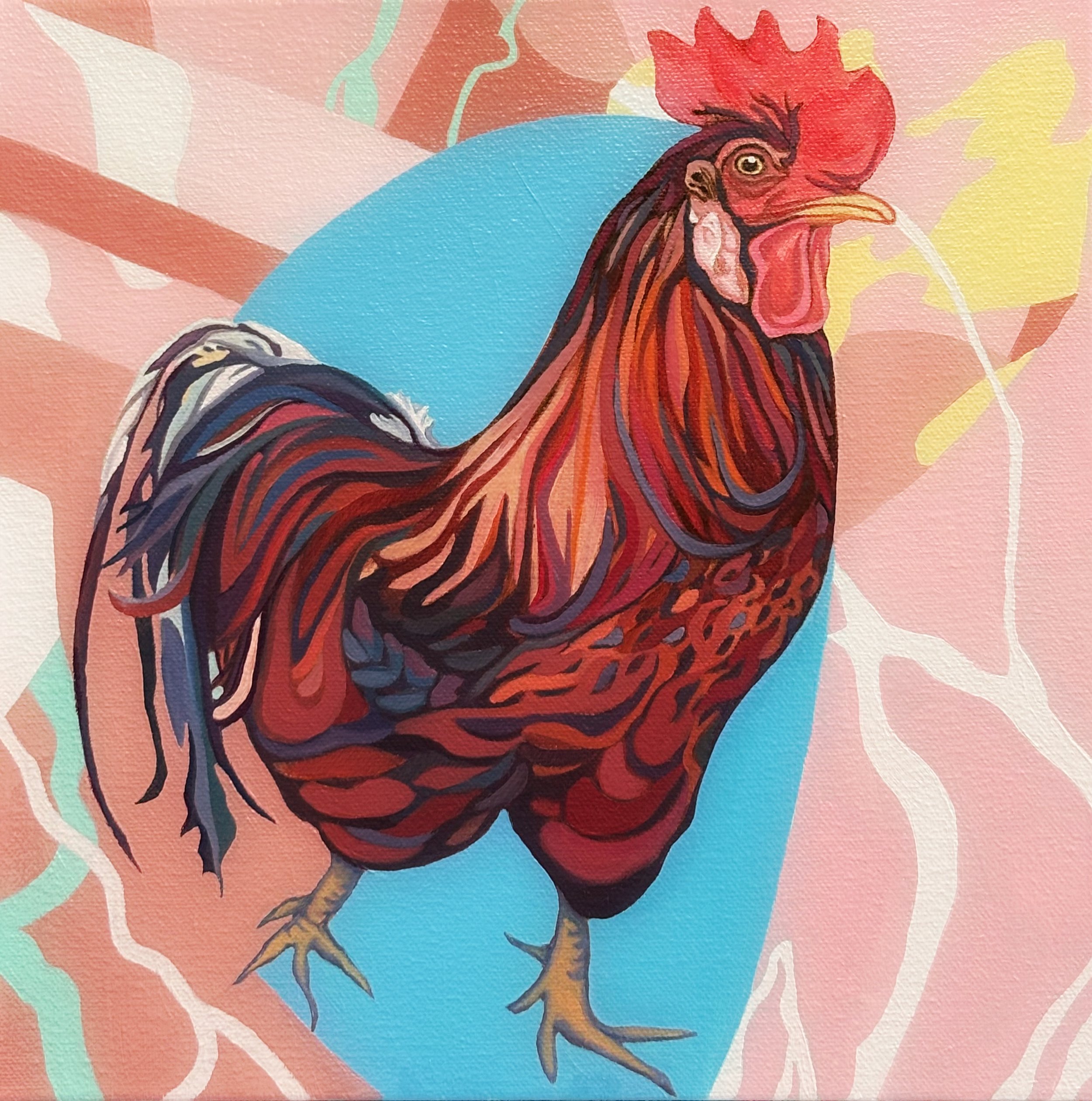 Mr. Roosta, 12" x 12", oil on canvas, (framed), $350
