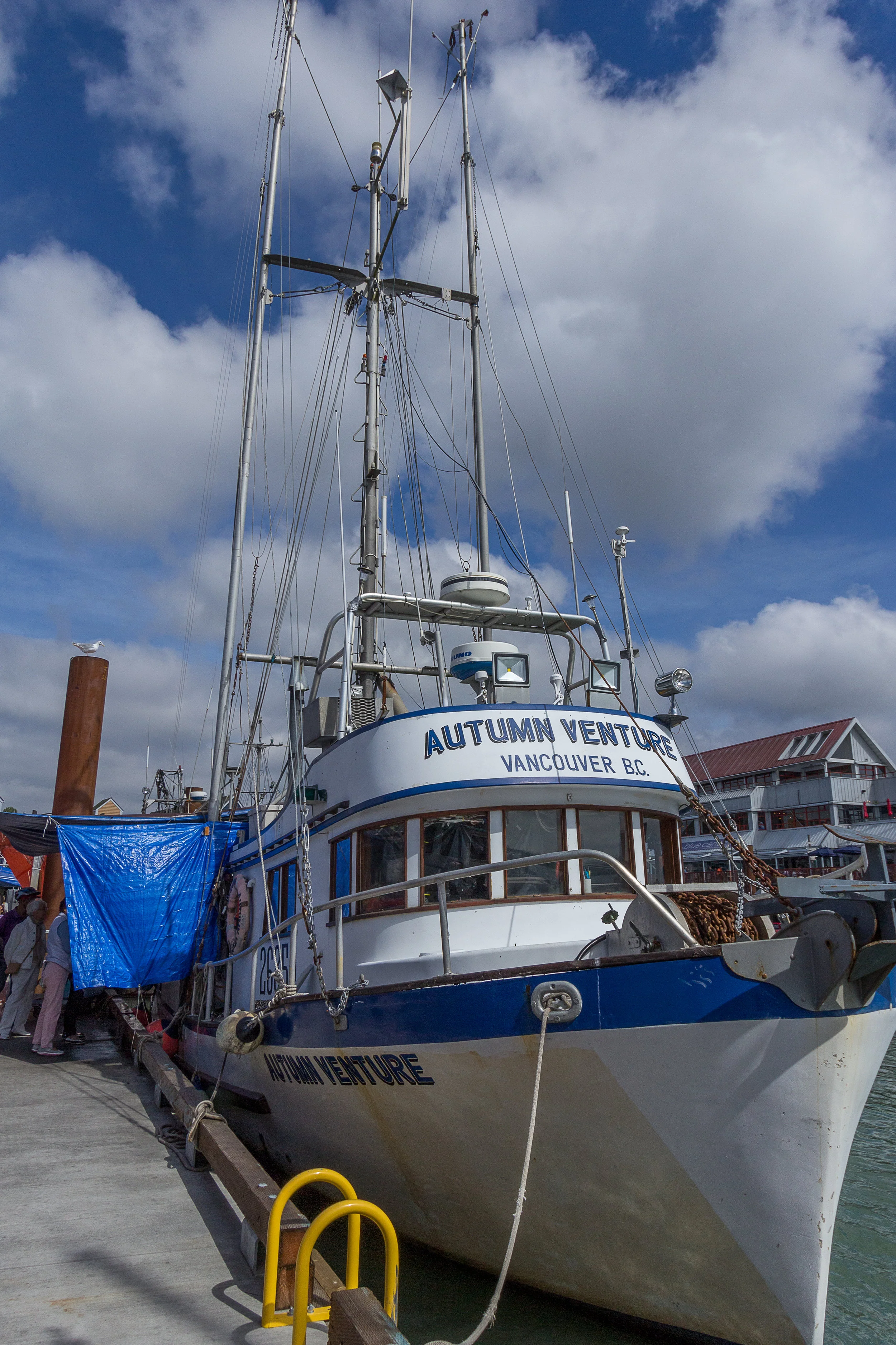 Docks 2017-016.jpg