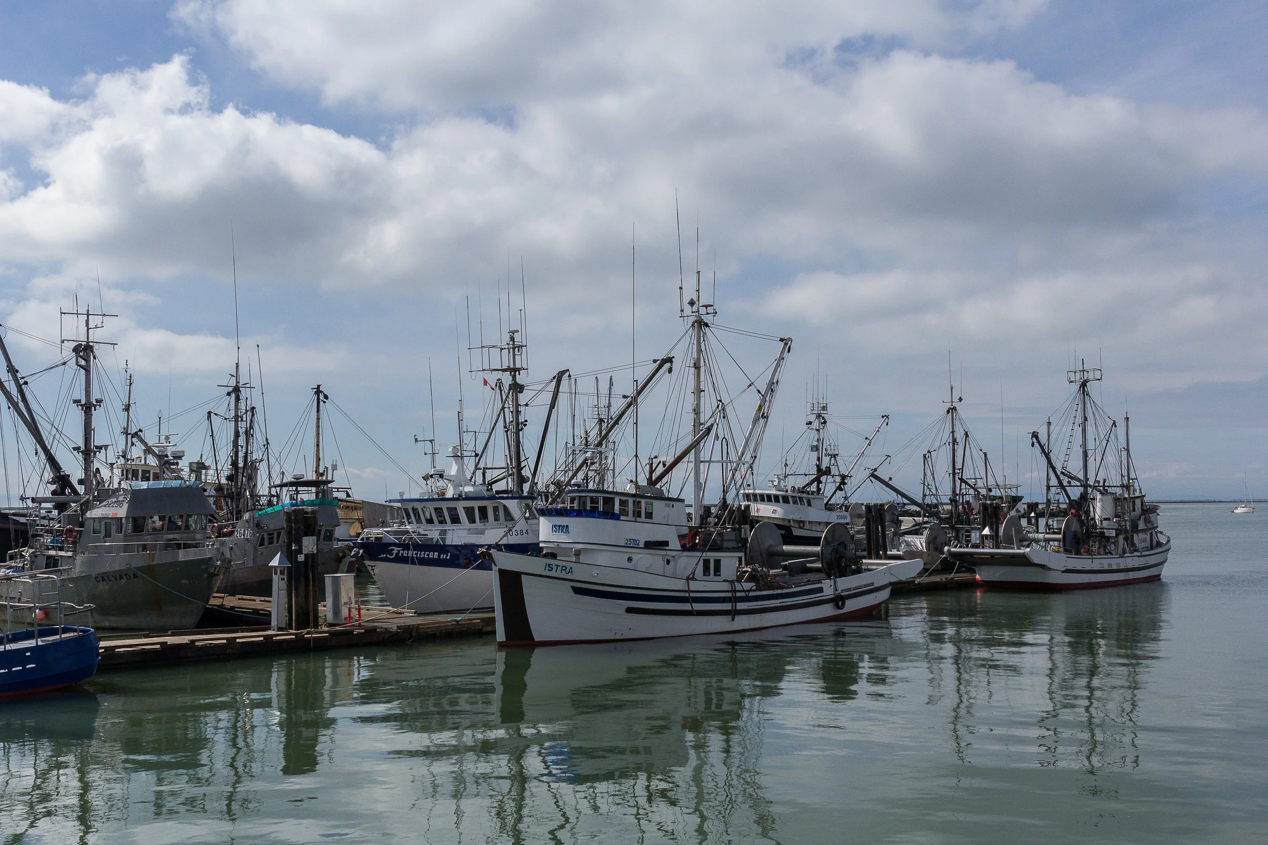 Docks 2017-034.jpg