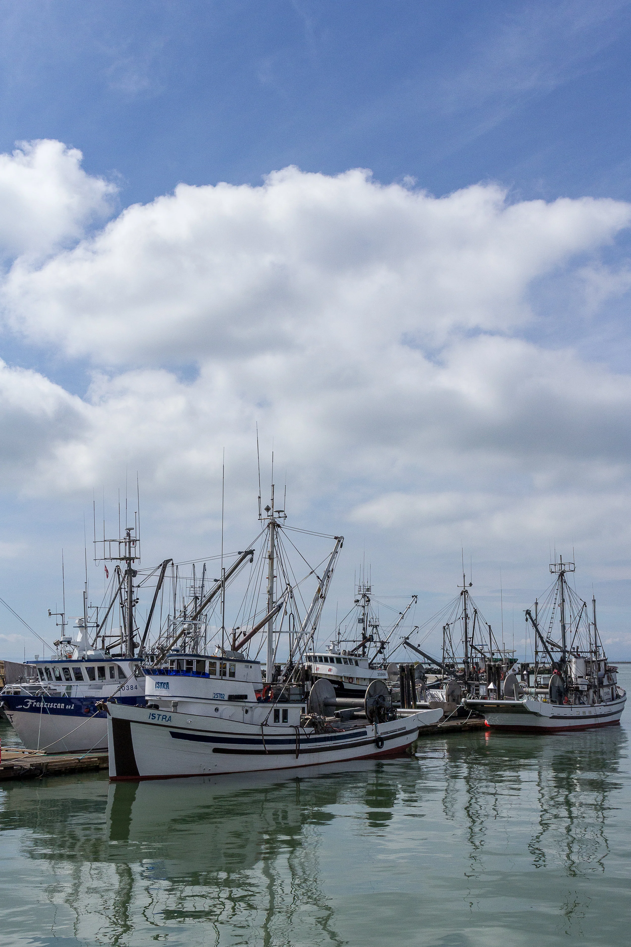 Docks 2017-035.jpg
