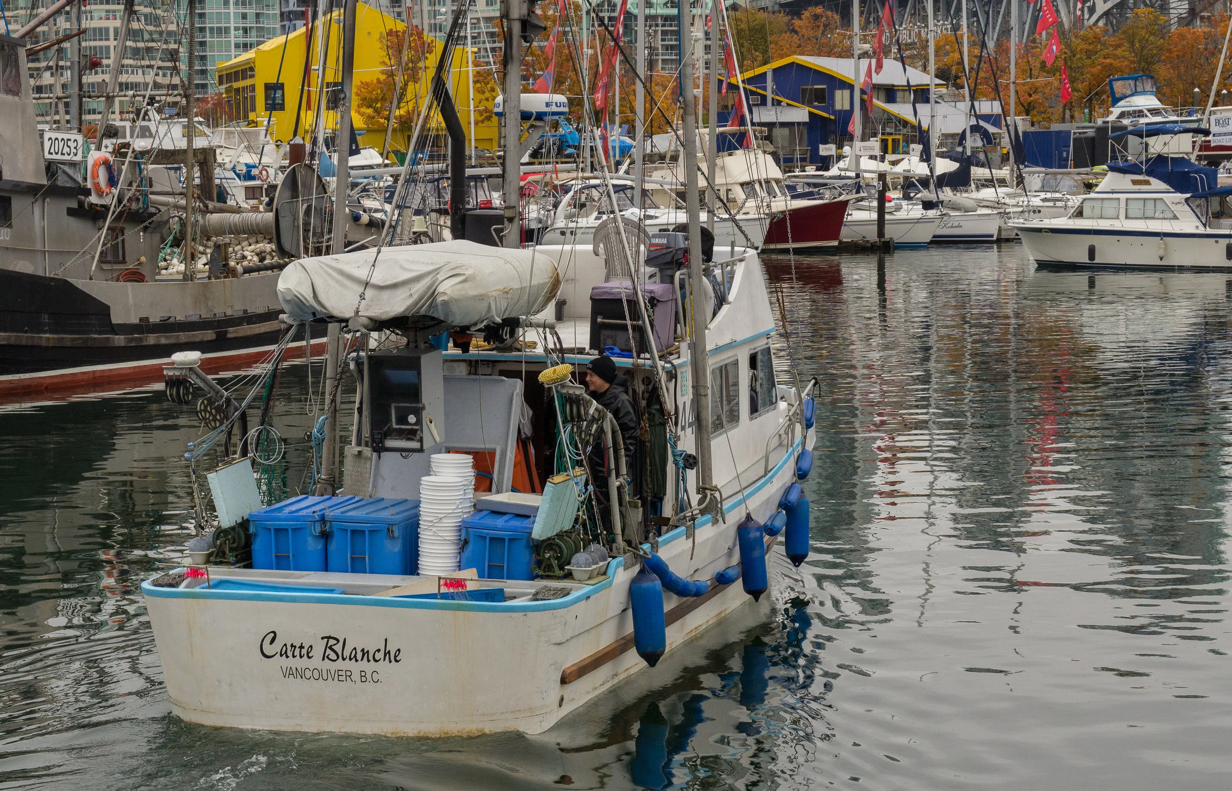 Organic Ocean-040.jpg