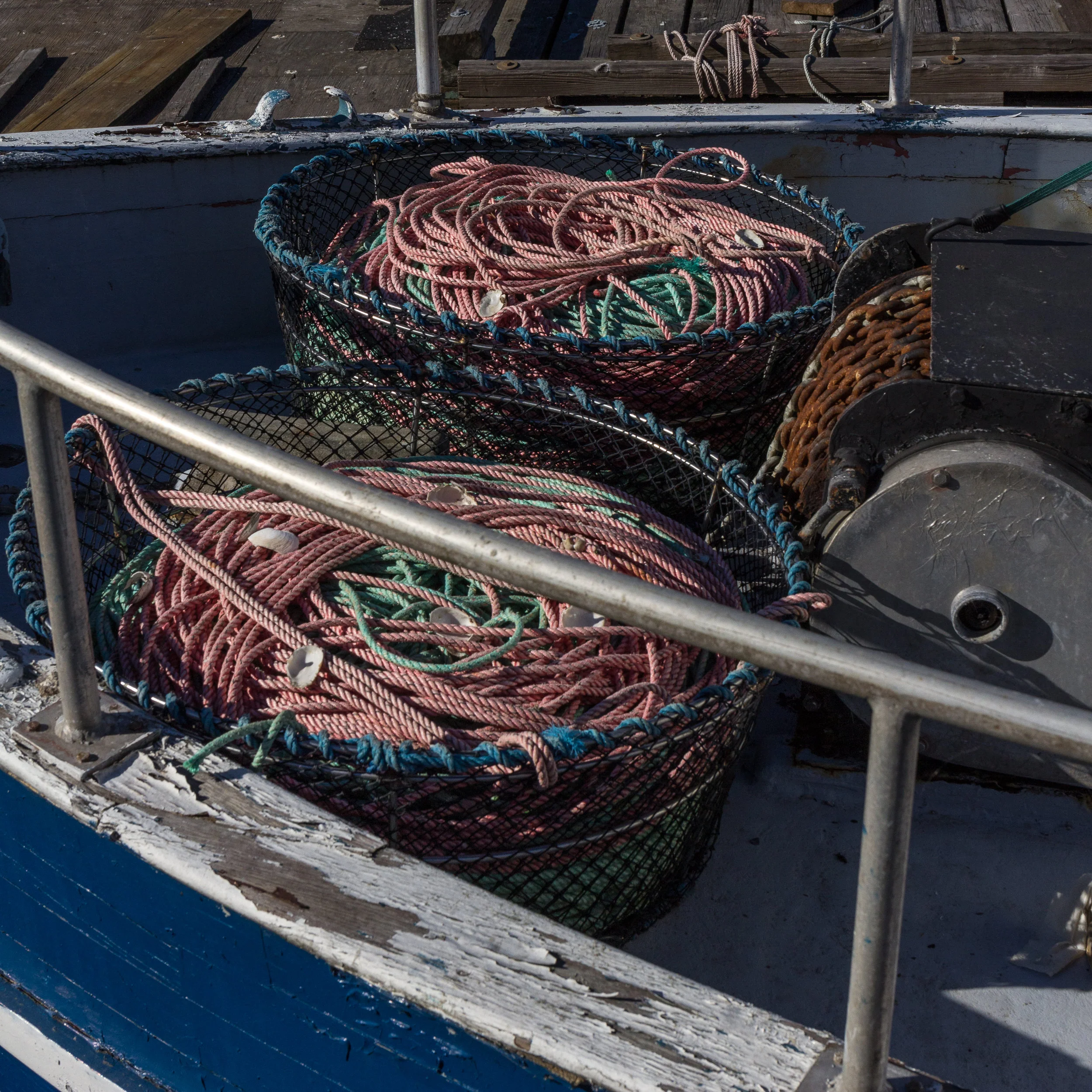Salmon 2017-005.jpg