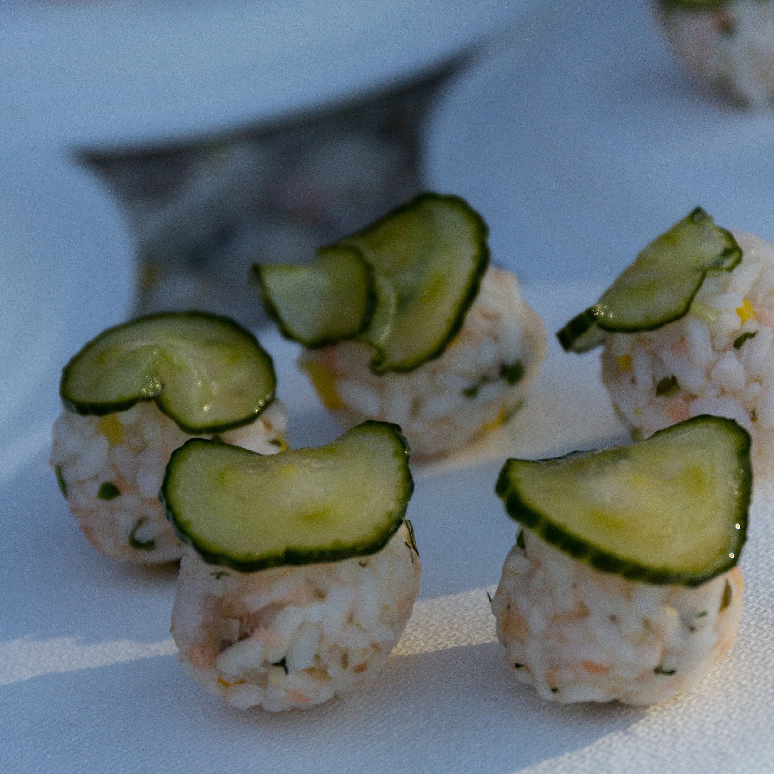 Salmon 2017-042.jpg