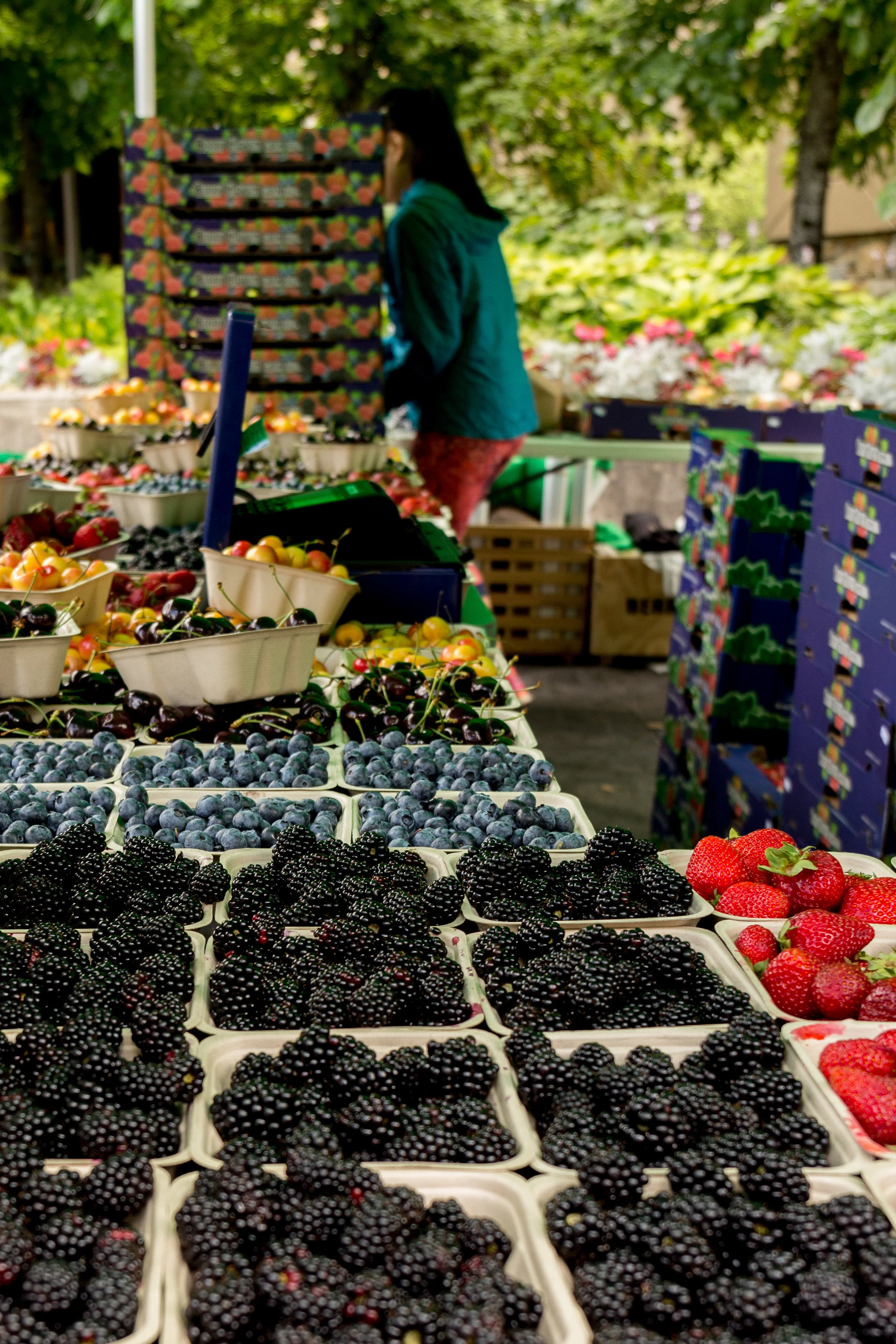 Market Aug-13-010.jpg