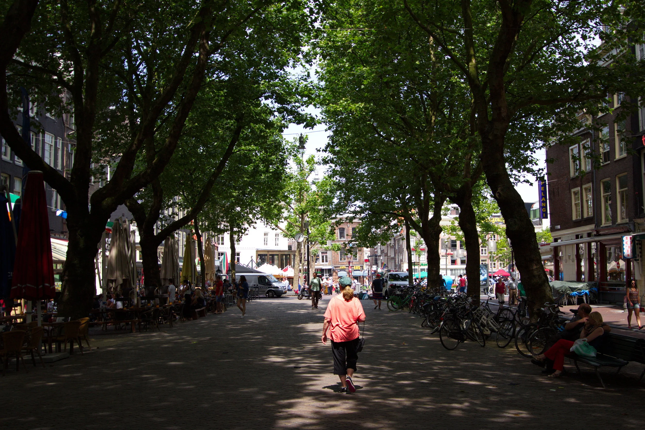 IMG_7543.jpg