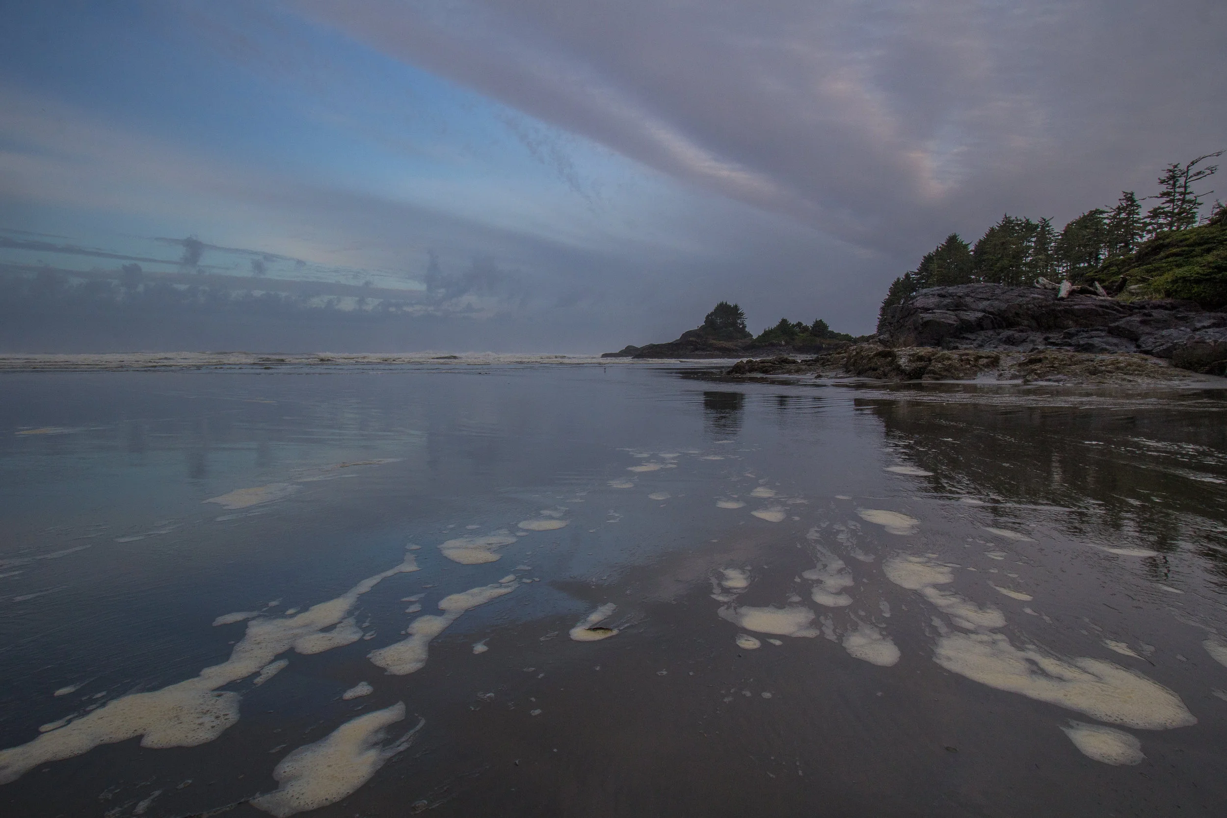 Tofino 2015-070.jpg