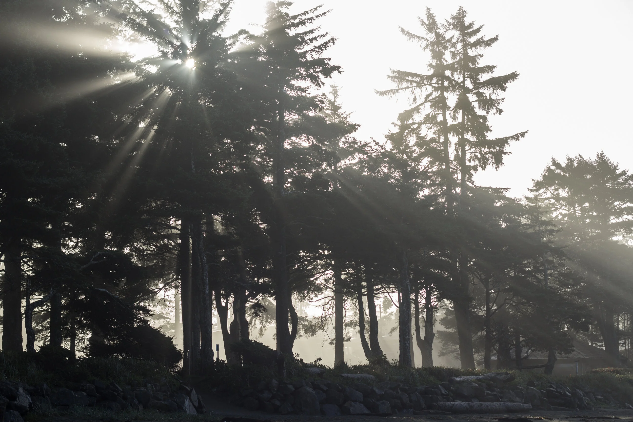 Tofino 2015-149.jpg
