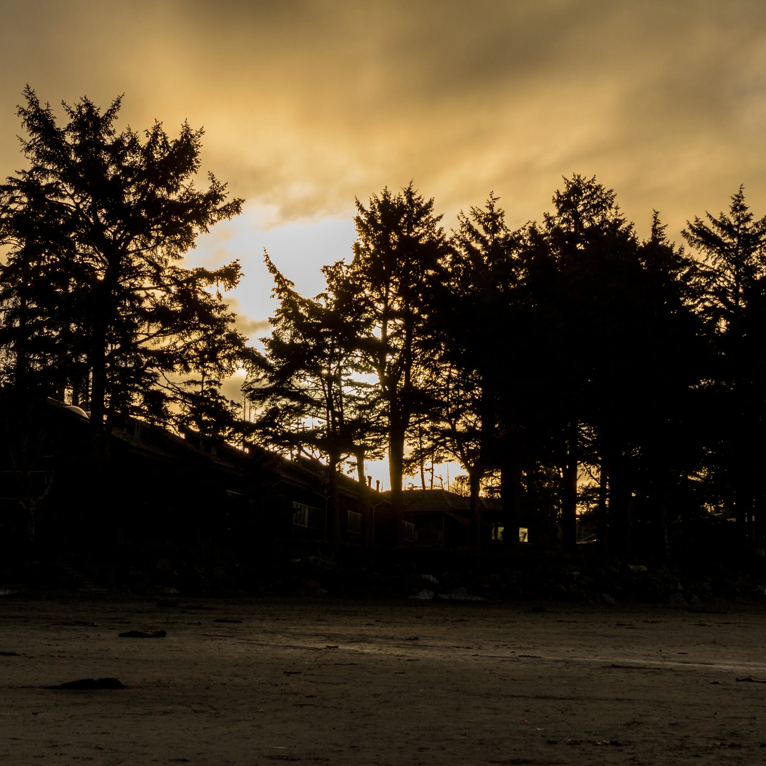 Tofino 2016-099.jpg