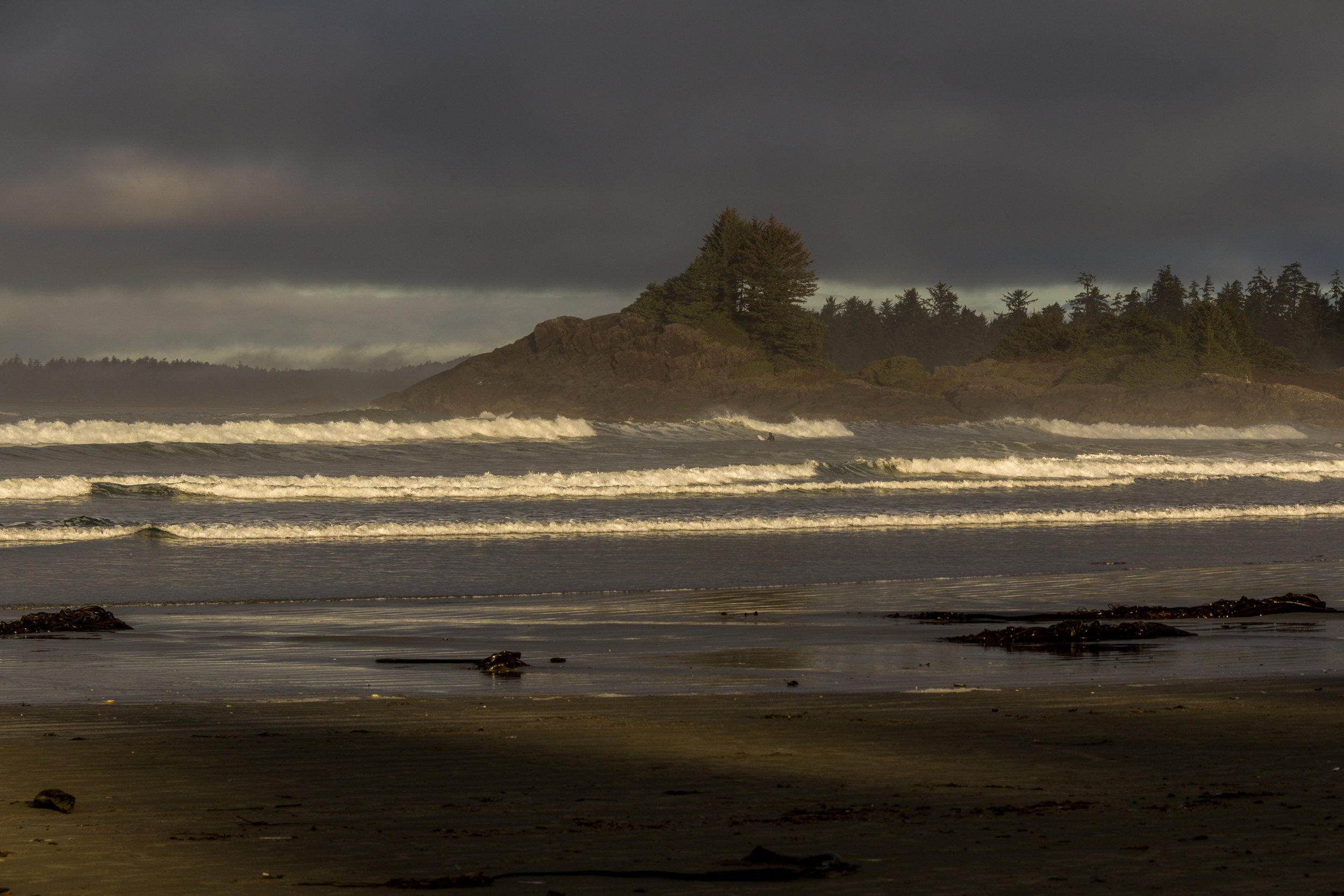 Tofino 2016-105.jpg