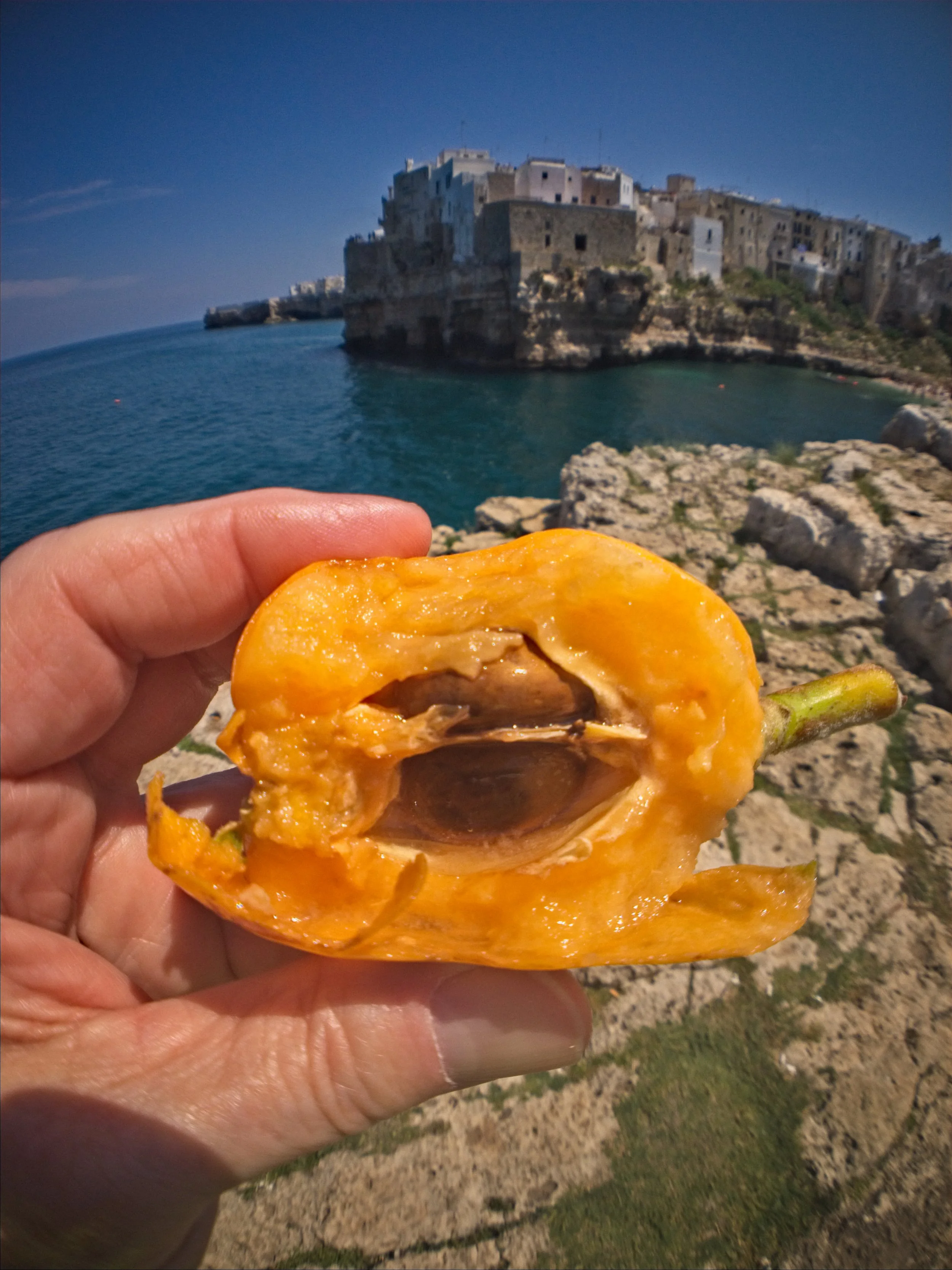 Italy-180512-134140.jpg