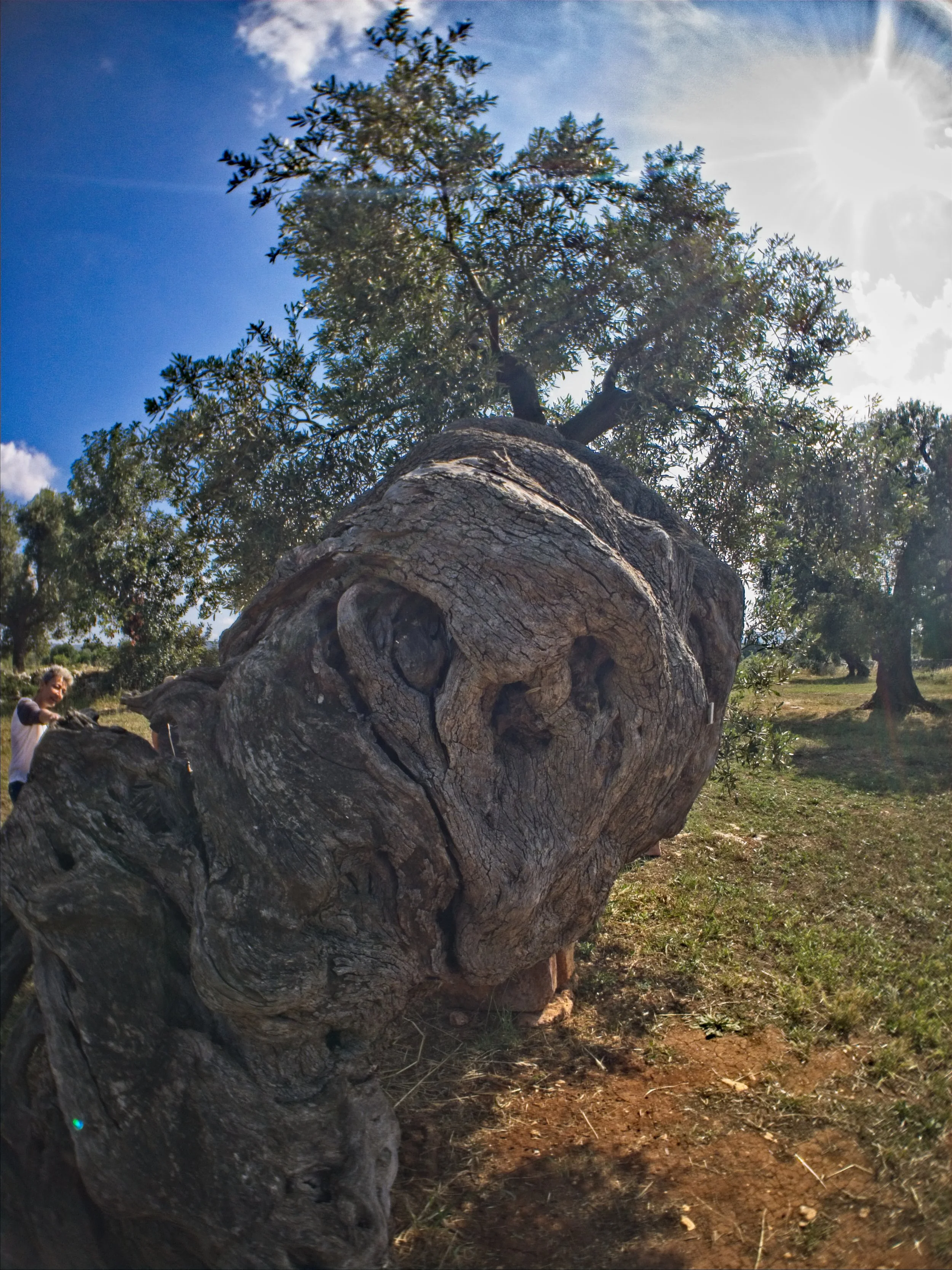 Italy-180513-155124.jpg