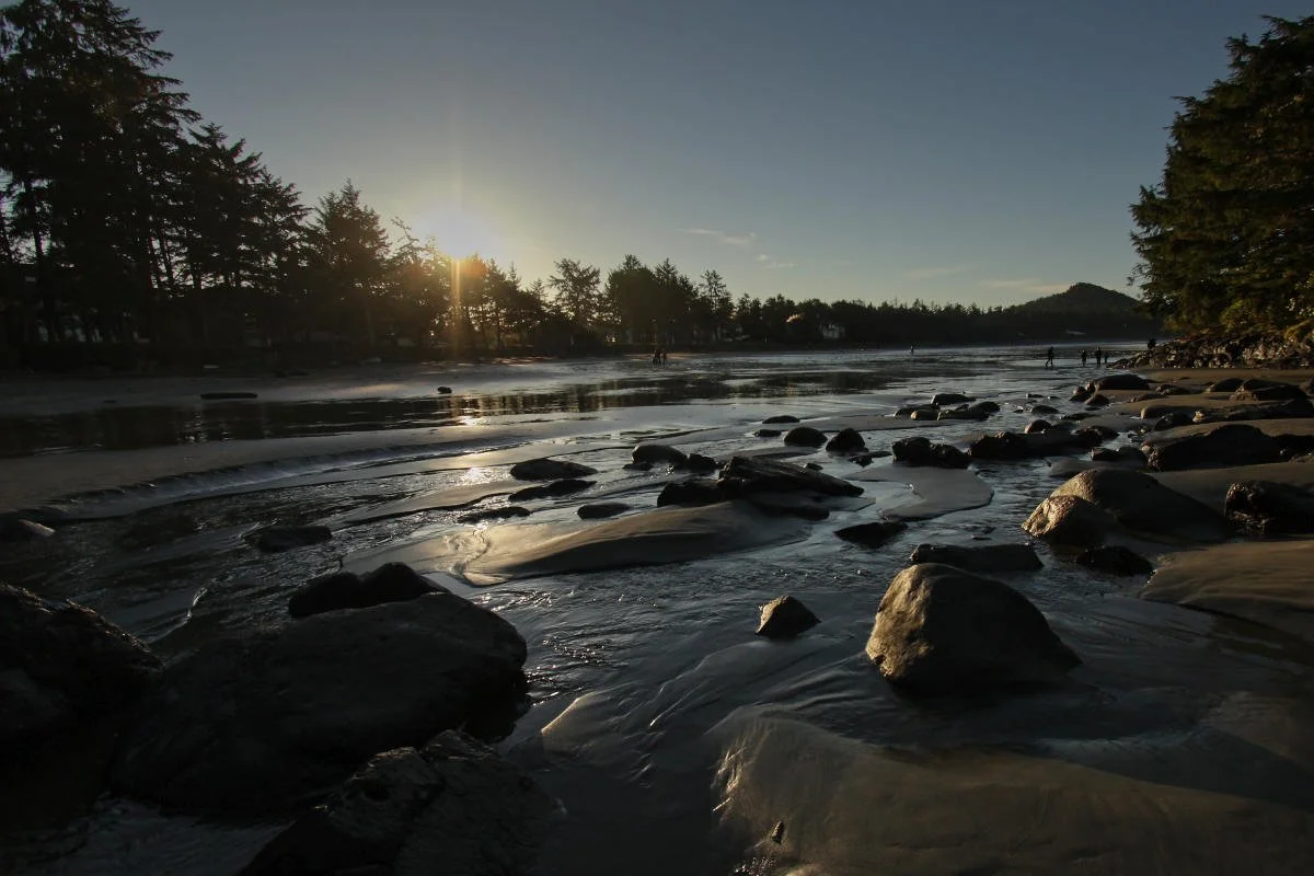 Tofino 2021-72s.jpg
