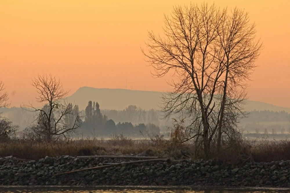 Sunrise-Nov 19 2022-12.jpg