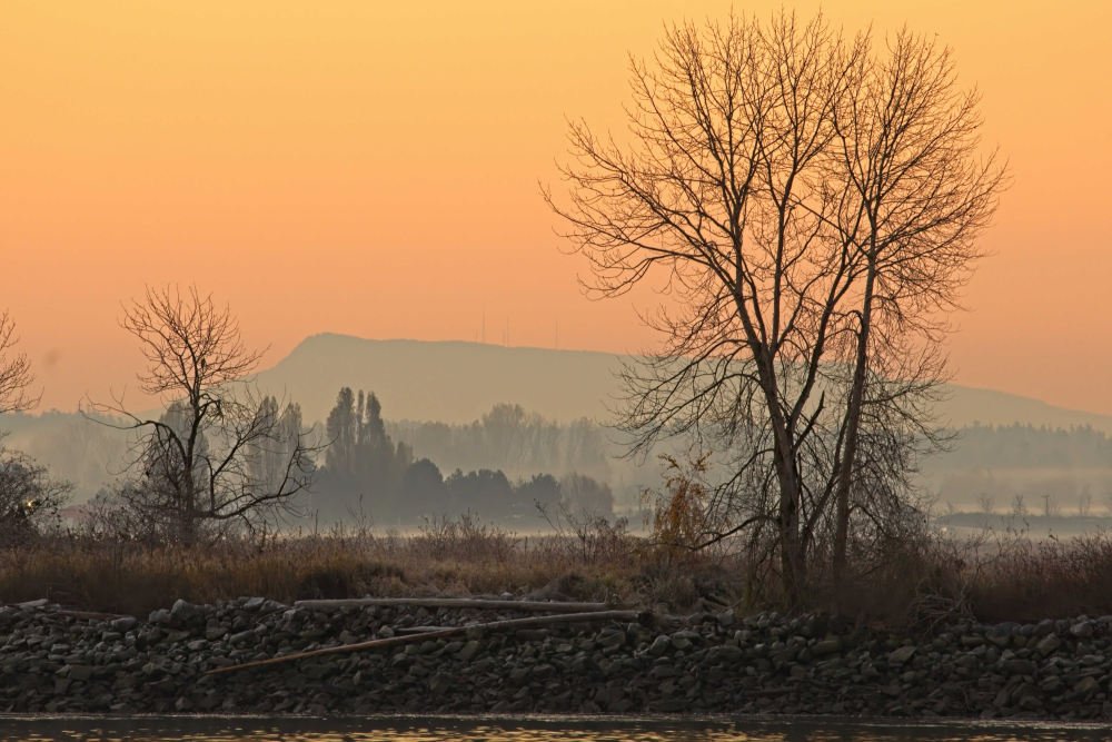 Sunrises.jpg