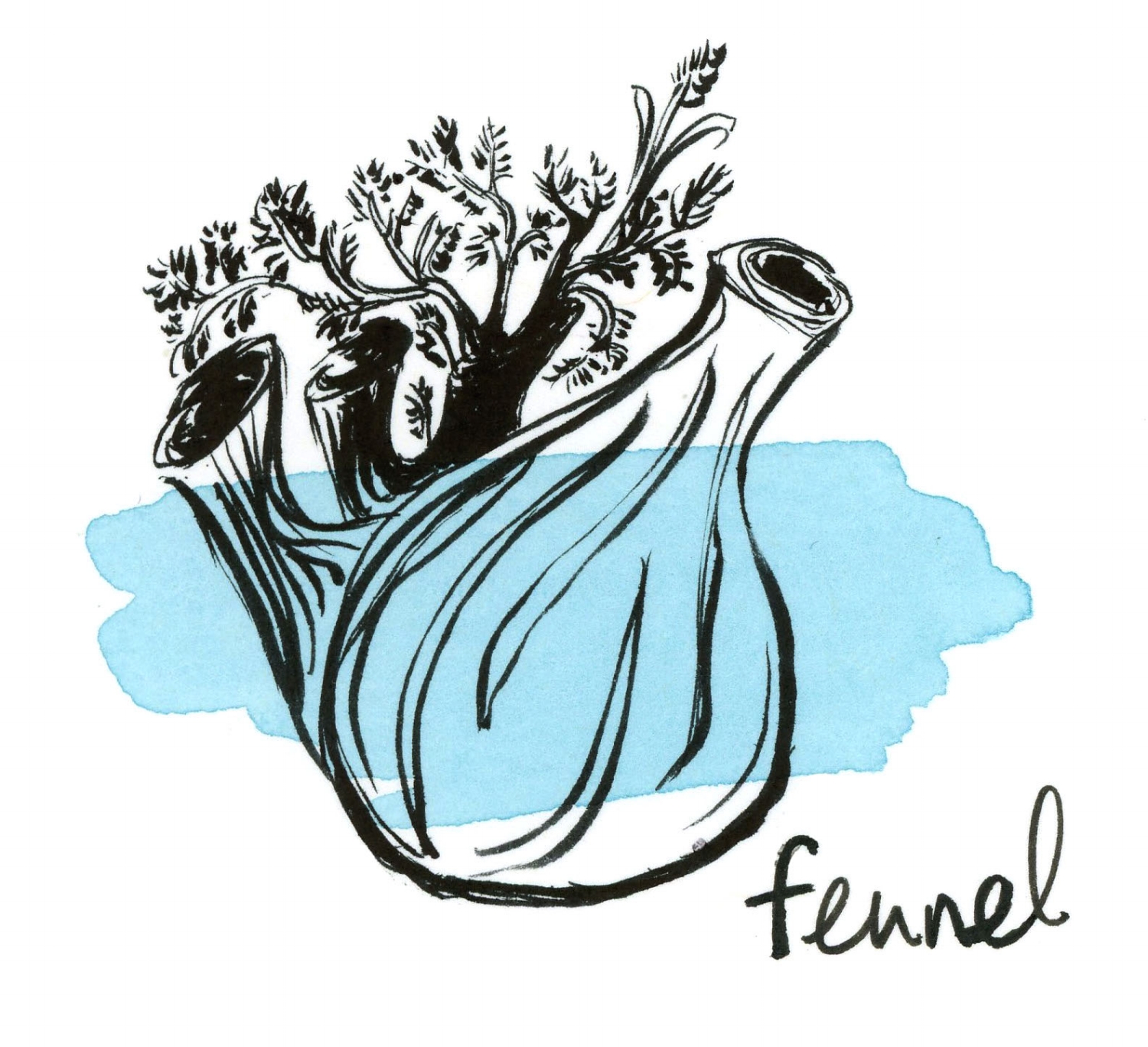 Winter_Salad_of_Fennel.jpg