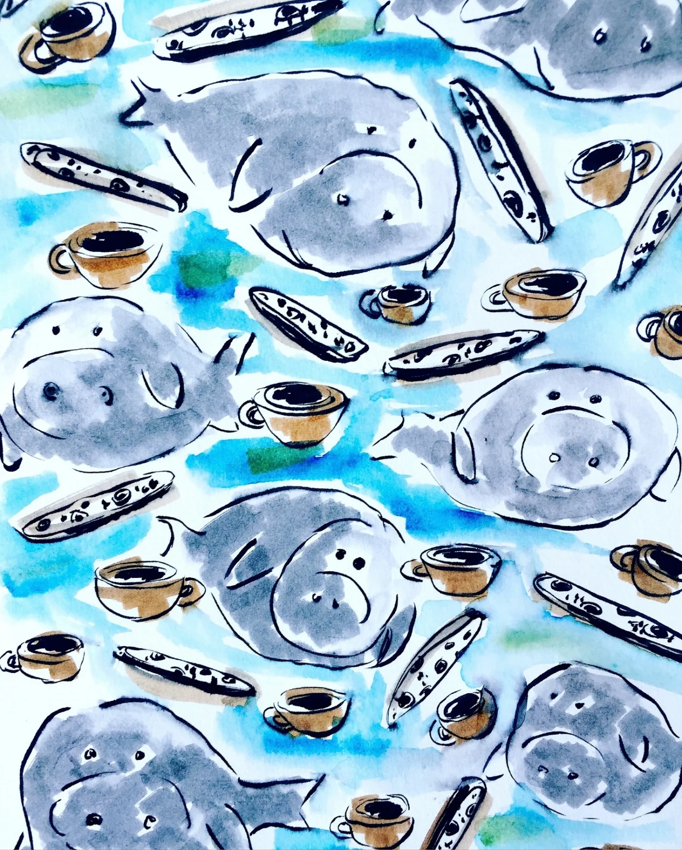 The rare biscotti-diving manatee