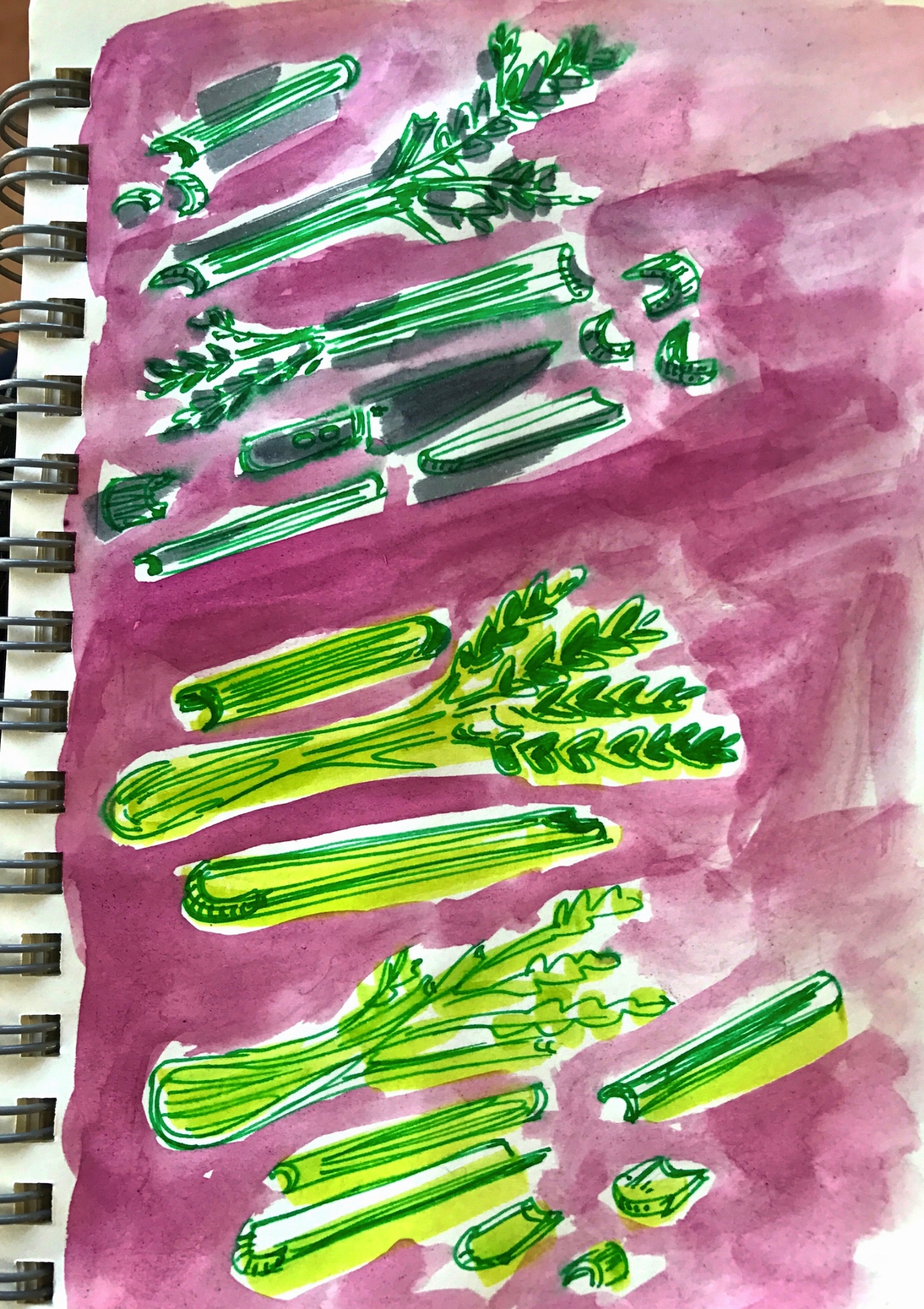 celery-sketchbook.jpg