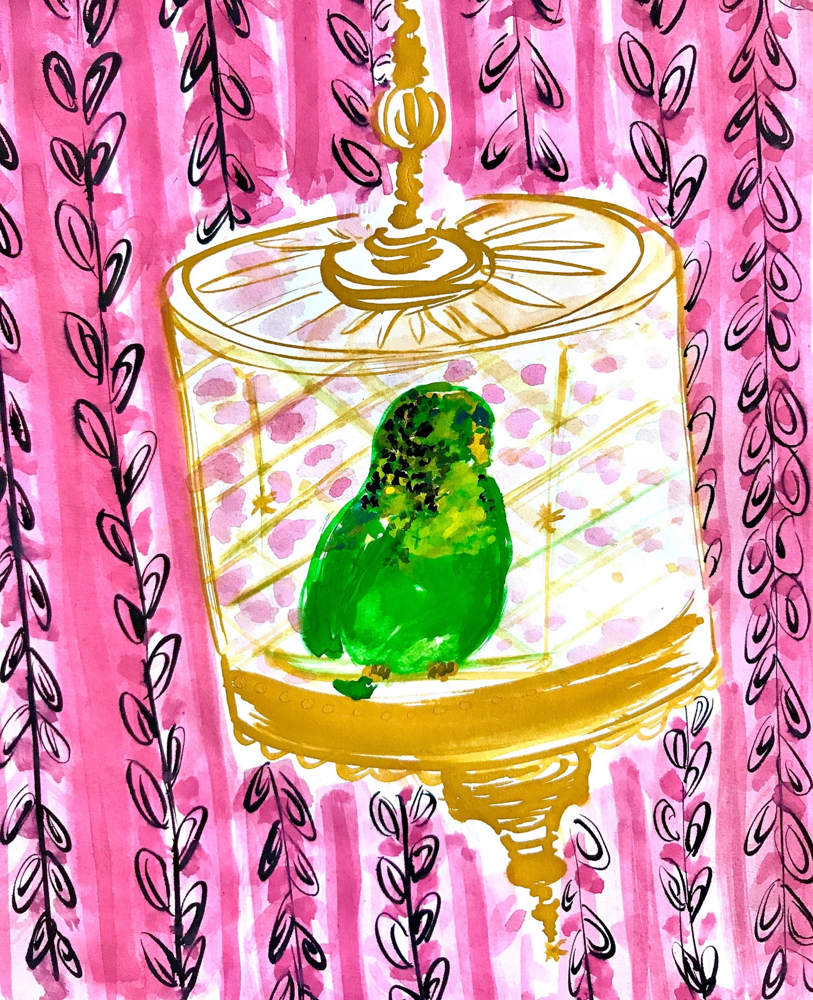  The rare   budgerigarus pink wallpaperus   