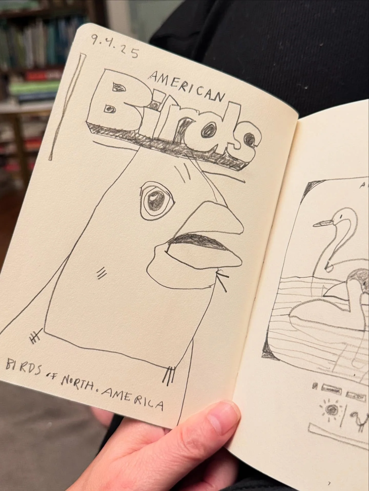 go birds. yesterday i found this book in a little free library. i need something to draw so ive decided to interpret and draw this book - in order. will i make it? we shall see. book is copyright 1973. that’s fun. photos are from the #audobonso