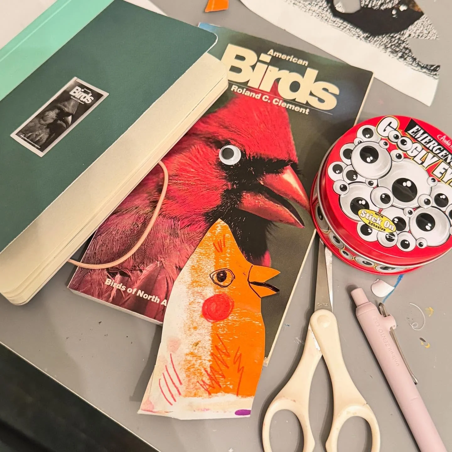 before bed i made a cover to my bird book. and added googled eyes bc they make everything better. cut some paper too. happy friday. #googleyeyes #americanbirds #newartproject #sketchbookart #birdbook
