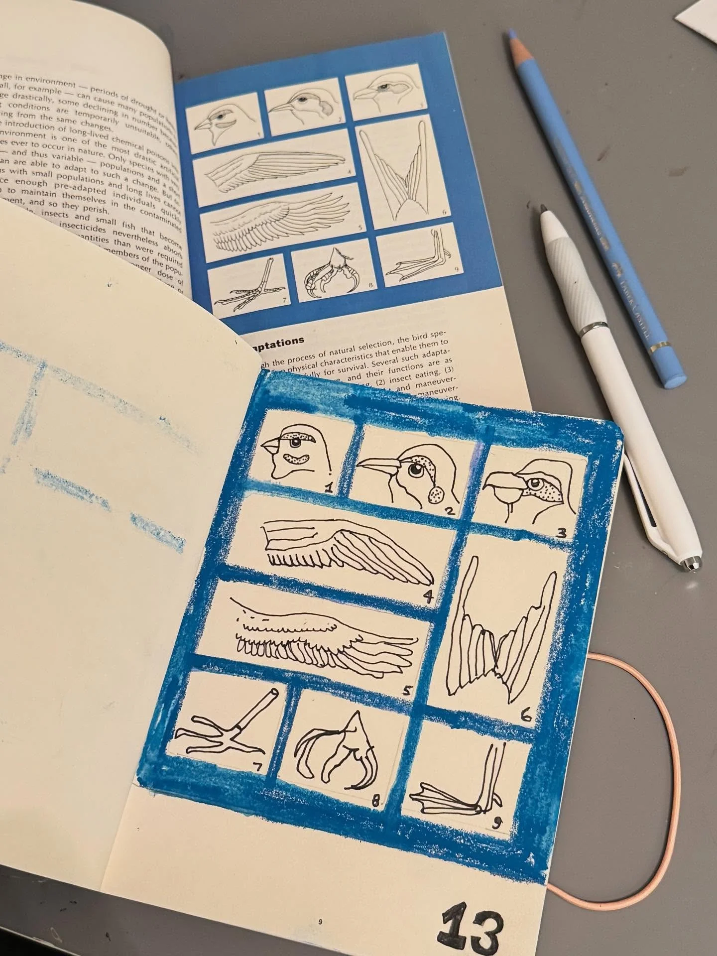day 2. part of the reason to do this is to go analog & be less onscreen. however now my desk is a disaster & i’m fighting my materials… but i know its all part of the process. #keepgoing #makeart #drawbirds #americanbirdbook