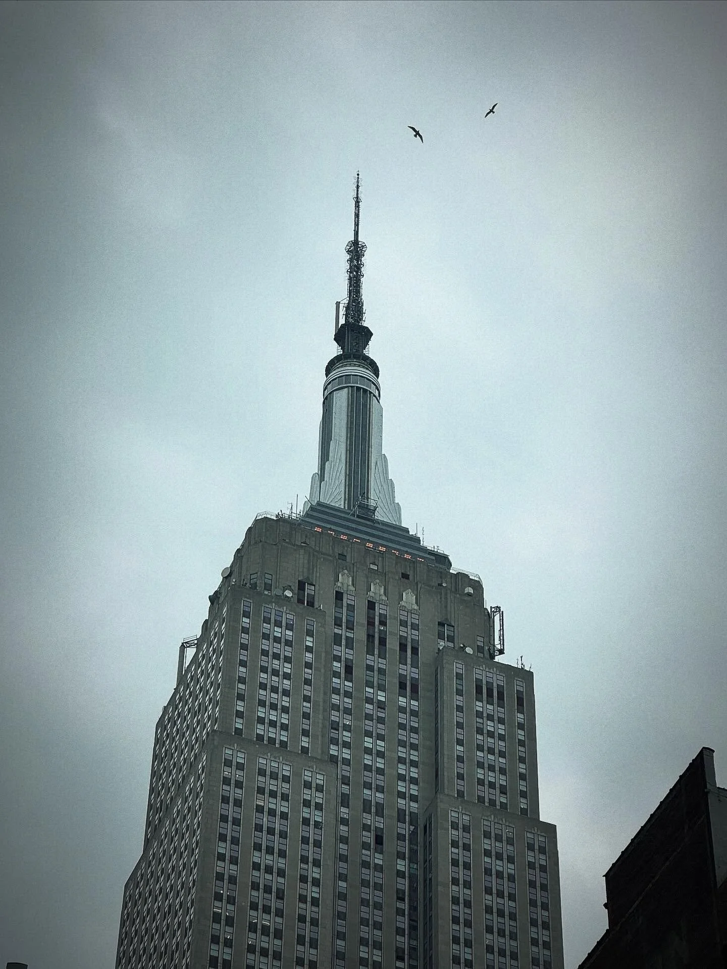 a moody emp state bldg w/ birds