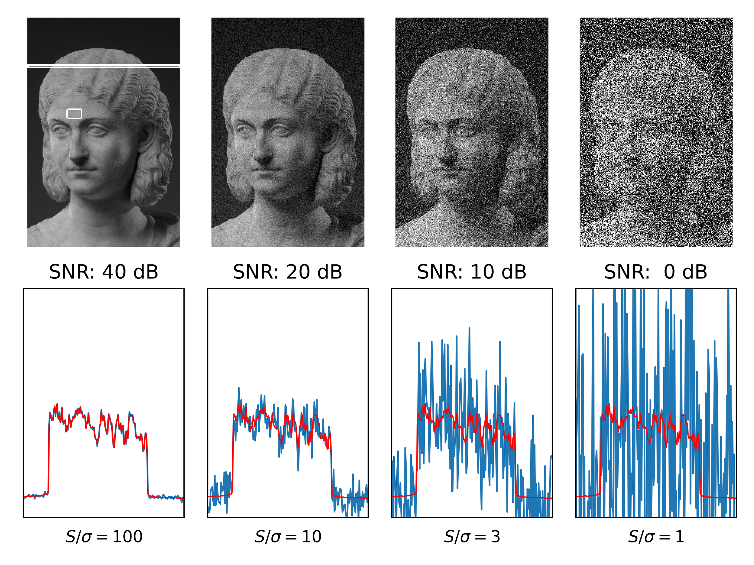 A gray-scale photography with different signal-to-noise ratios (SNRs).