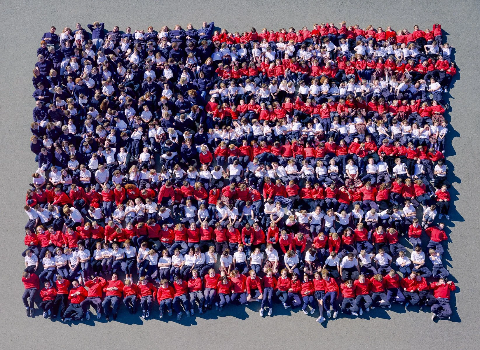 livingflag.jpg