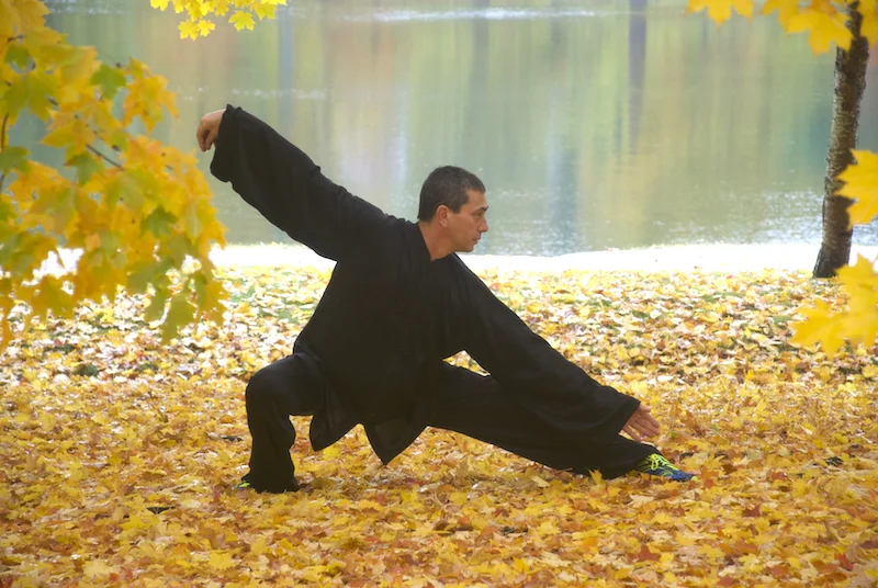 The Power of Tai Chi.jpg