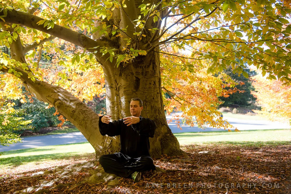 Embrace the Tree_Sitting.jpg