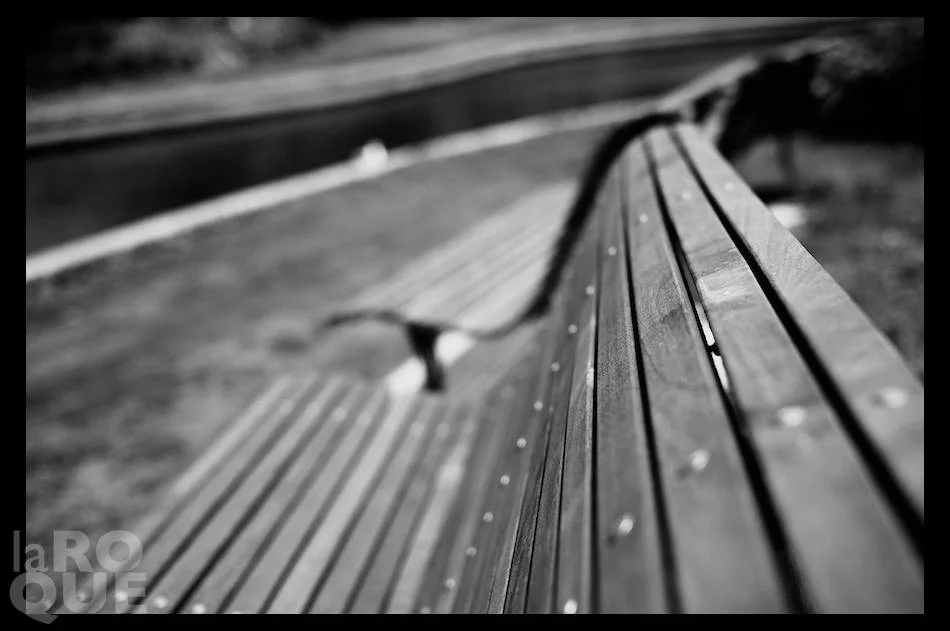 laROQUE_montreal_xpro1_2_2.jpg