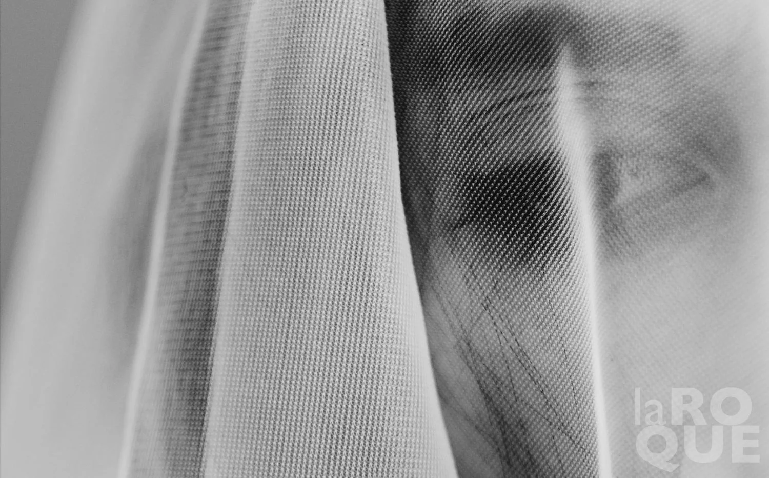  1:1 zoom from image #9 of the 2nd shoot.