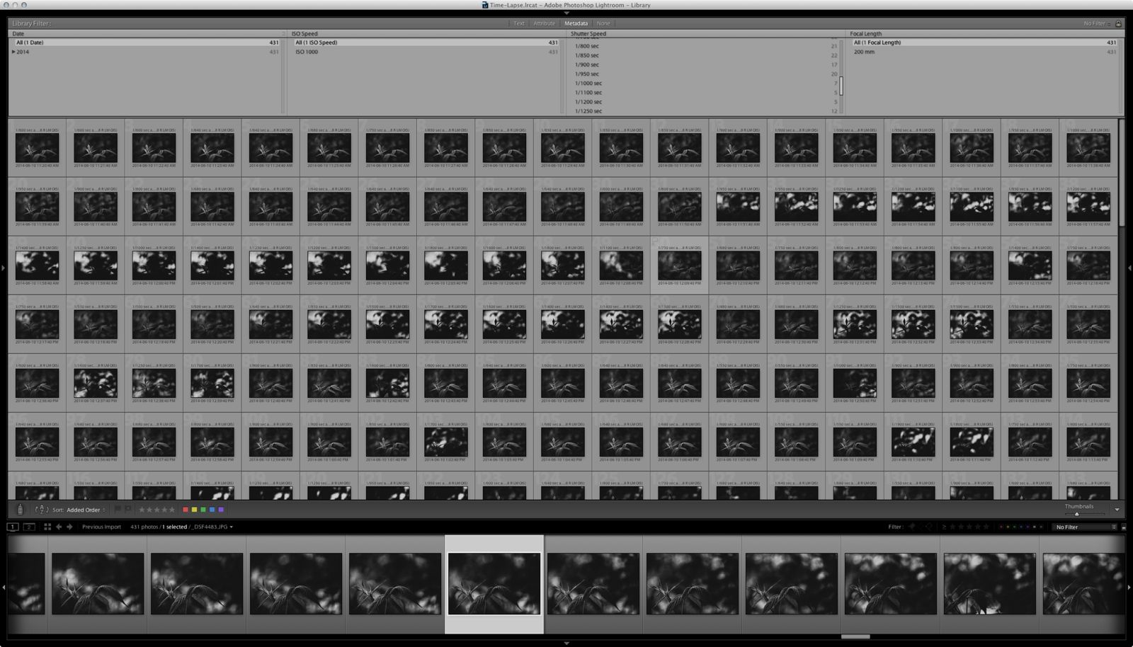 The files in LR5. Click for a larger view.