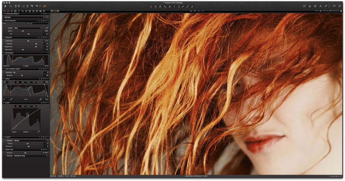 A serious tangle... 100% view of image #1.