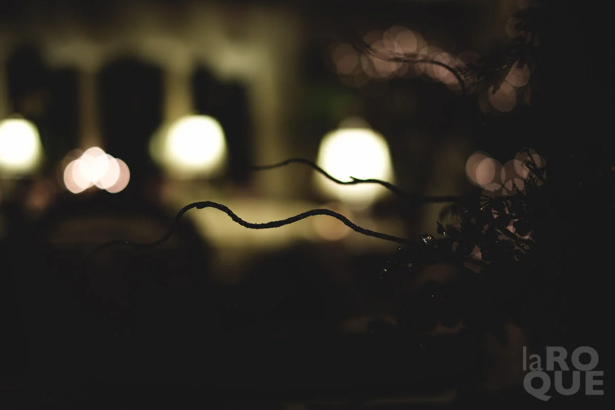 LAROQUE-holiday-symbols-08.jpg