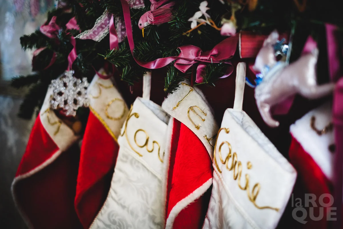 LAROQUE-holiday-symbols-15.jpg