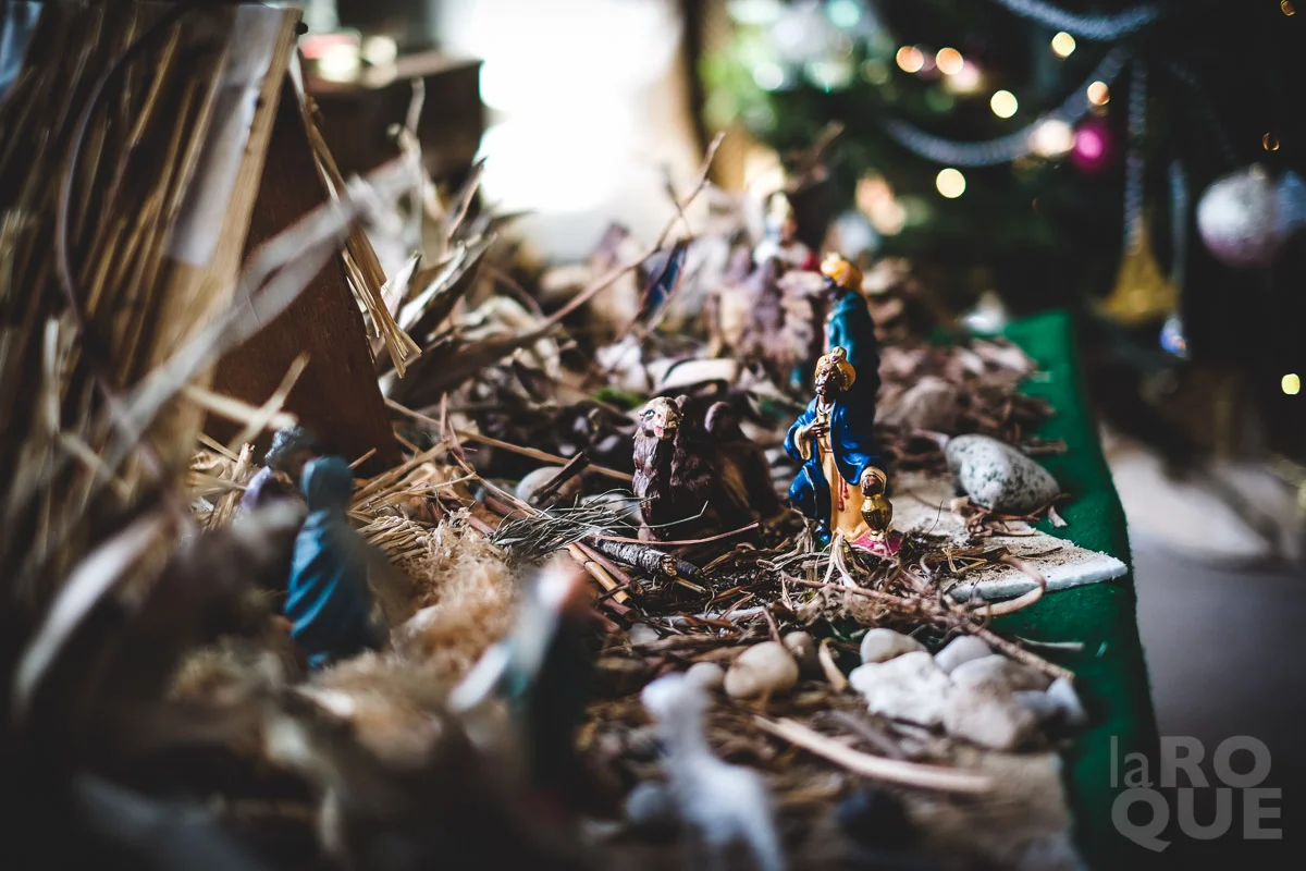 LAROQUE-holiday-symbols-16.jpg