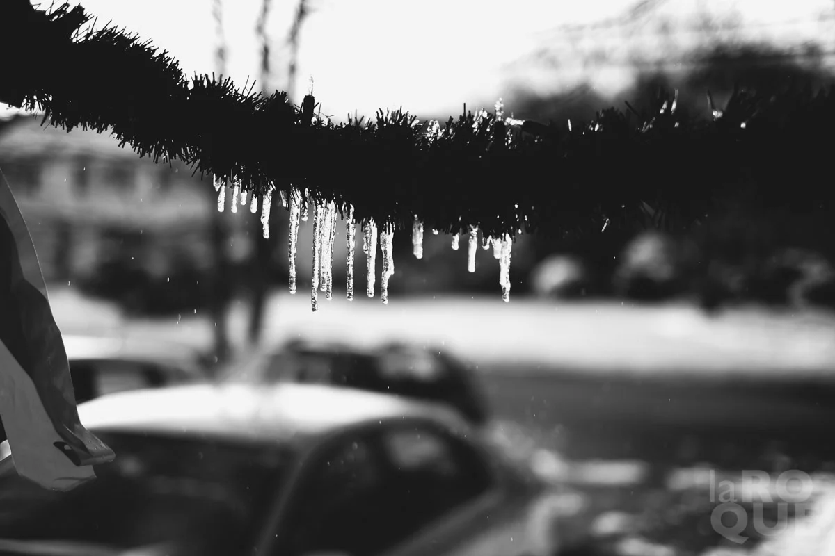 LAROQUE-holiday-symbols-23.jpg