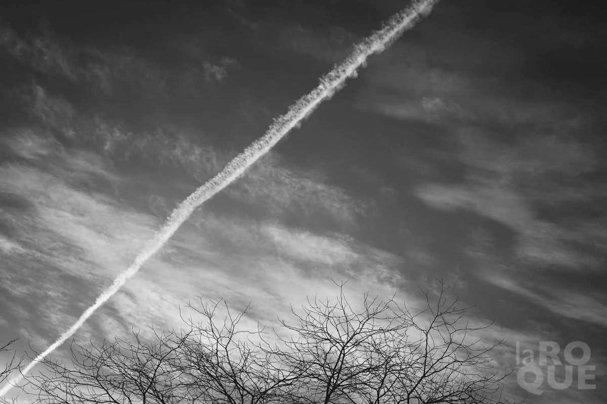 LAROQUE-holiday-symbols-26.jpg